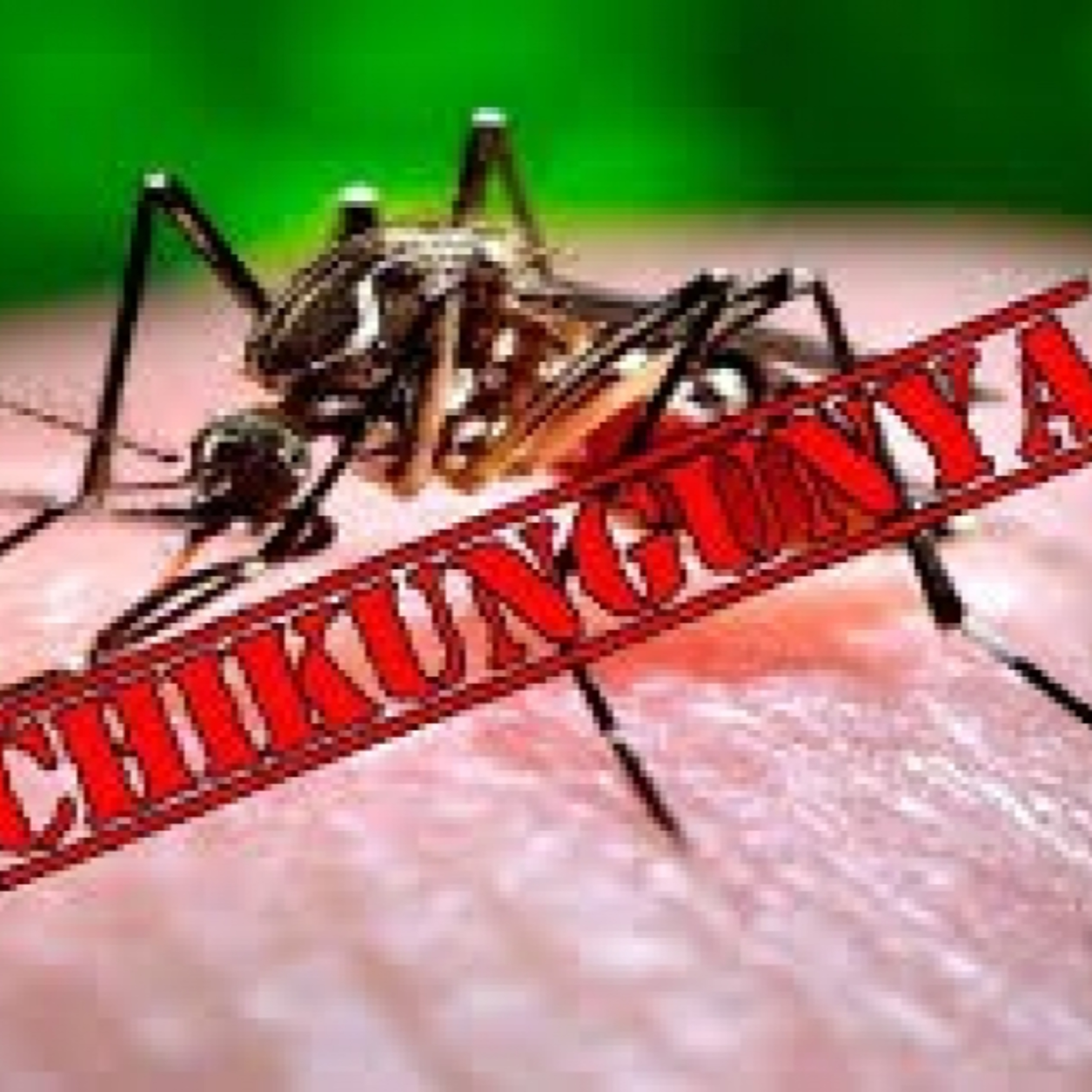 Thời sự 6h 12/8/2025: Chuyên gia khuyến cáo người dân không nên hoang mang về dịch bệnh Chikungunya