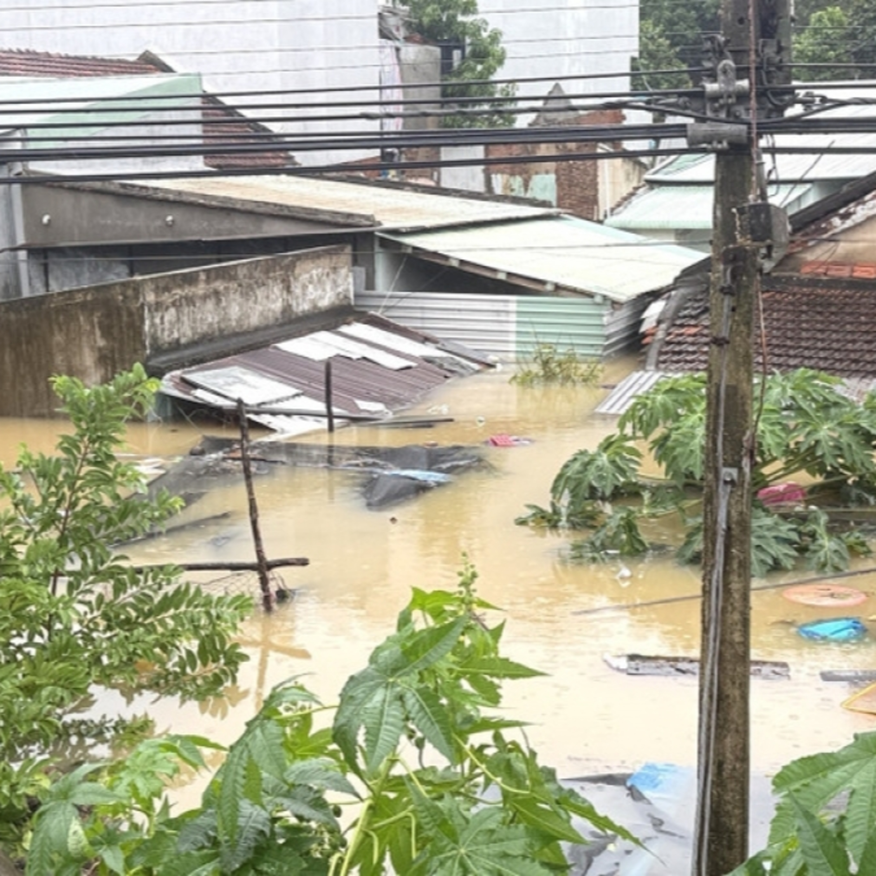 Thời sự 18h 20/11/2025: Mưa lũ đặc biệt nghiêm trọng tại Đắk Lắk