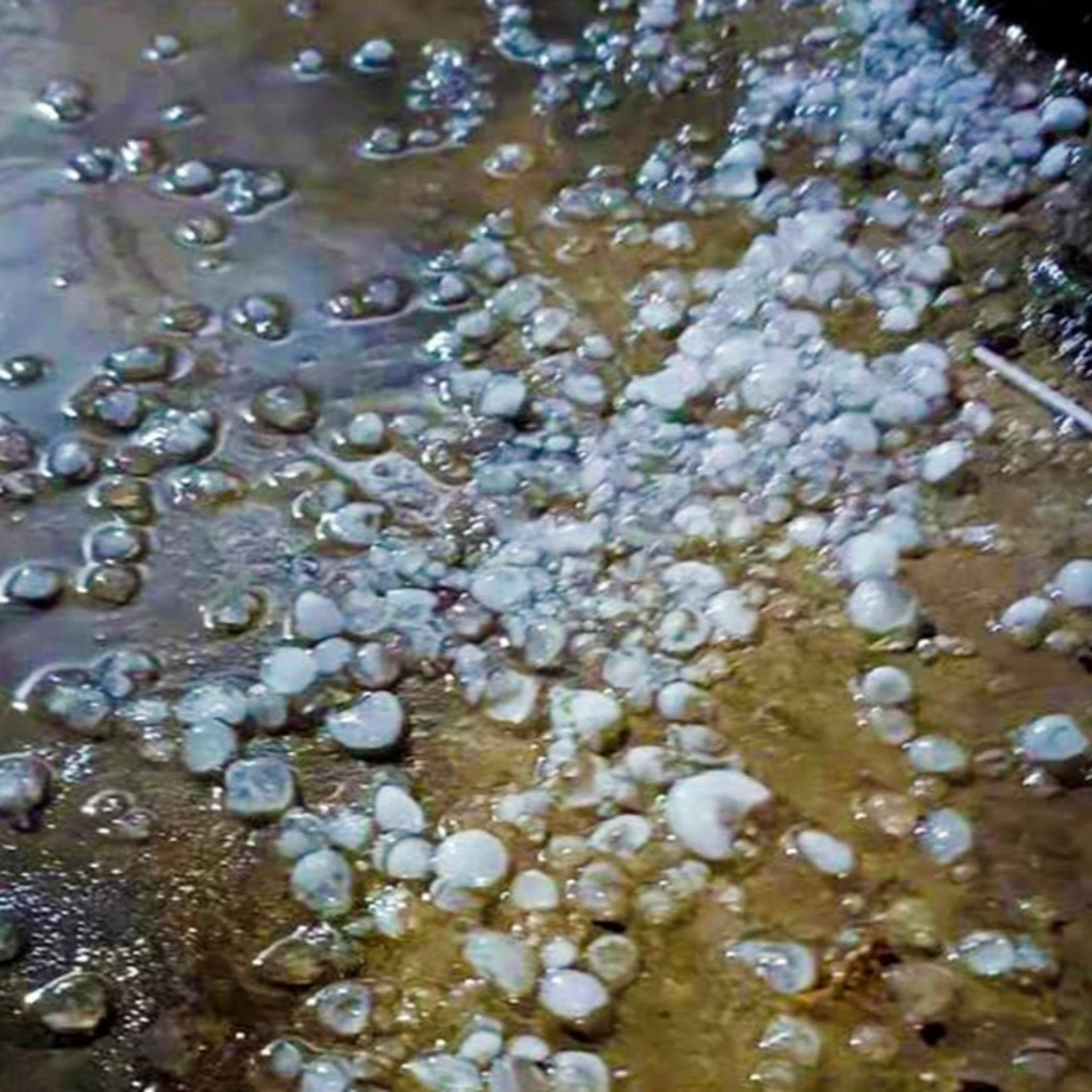 Thời sự 12h 30/3/2026: Nhiều nơi ở Bắc Bộ và Bắc Trung Bộ xuất hiện dông lốc kèm mưa đá