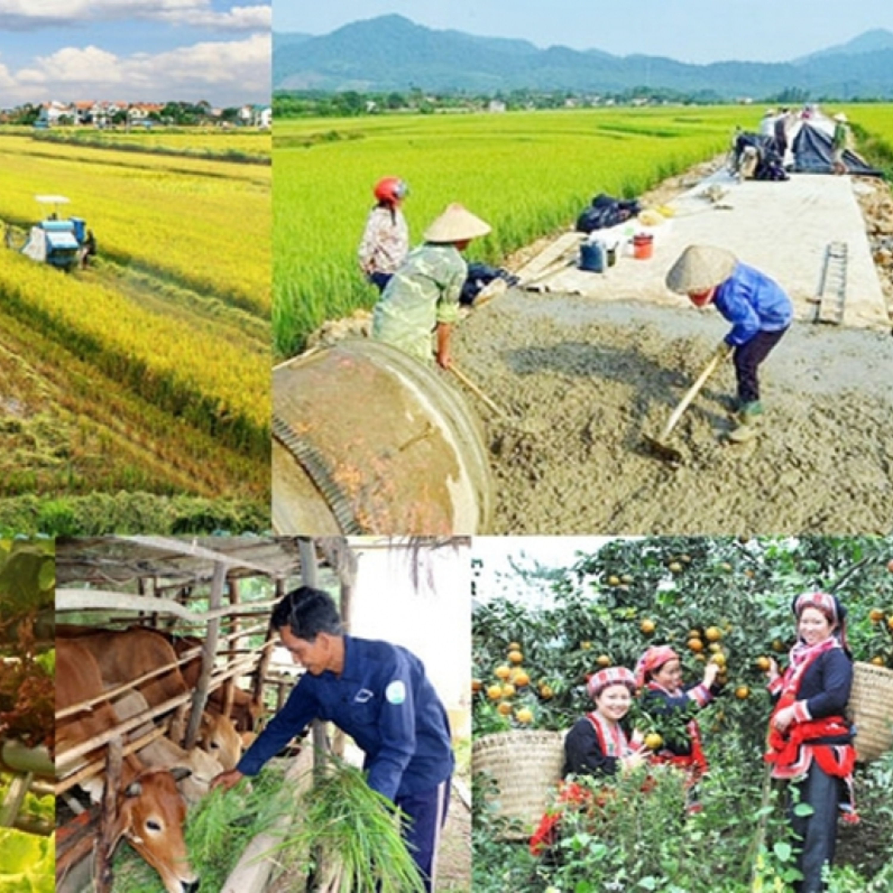 Thời sự 6h 23/5/2026:Đẩy nhanh tiến độ triển khai chương trình mục tiêu quốc gia giai đoạn 2026-2030