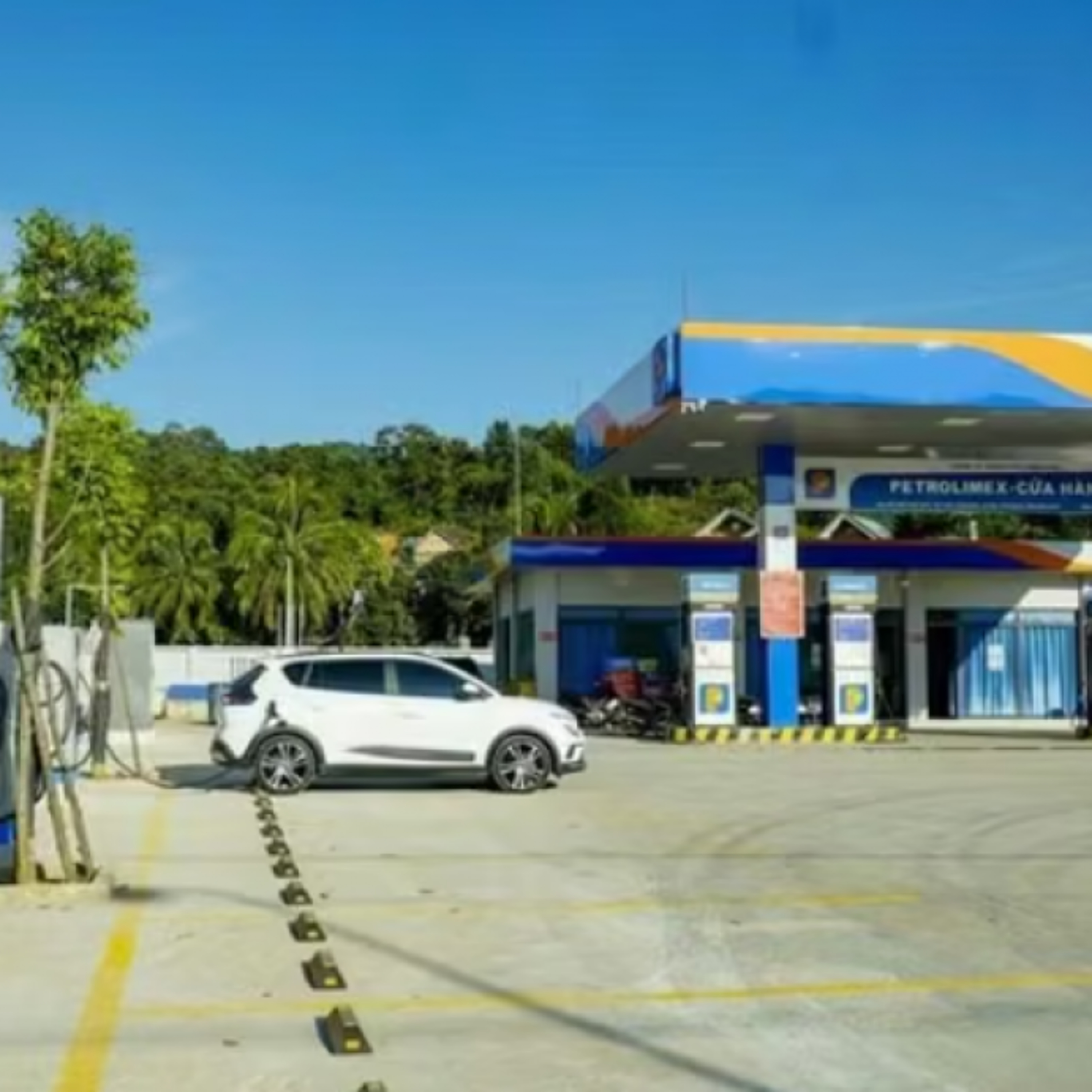 Thời sự 6h 28/10/2026:Chính phủ yêu cầu xem xét phương án giảm thuế tiêu thụ đặc biệt với xăng về 0%