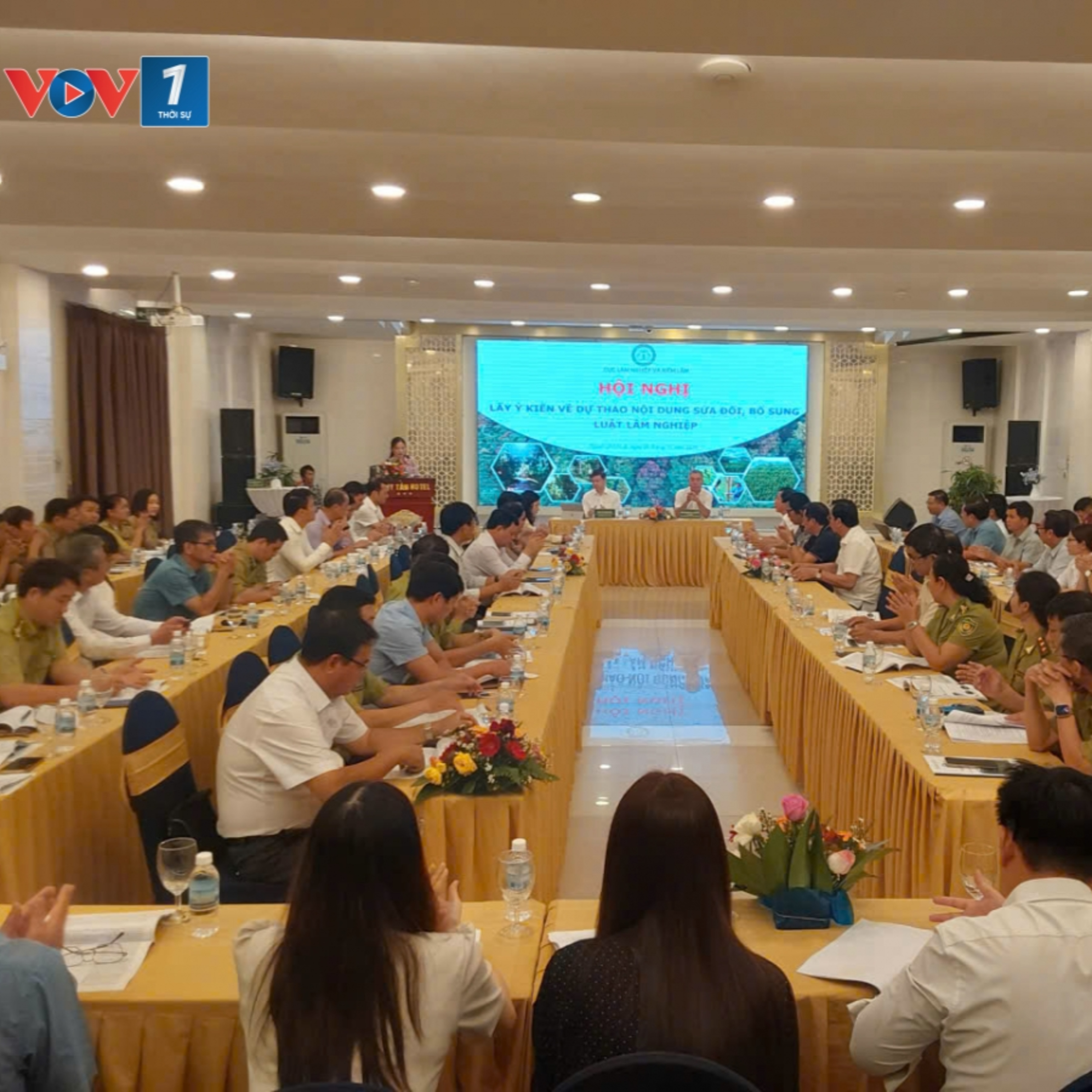 Tin trong nước - Chủ tịch UBND cấp tỉnh được quyết định chủ trương chuyển mục đích sử dụng đất rừng