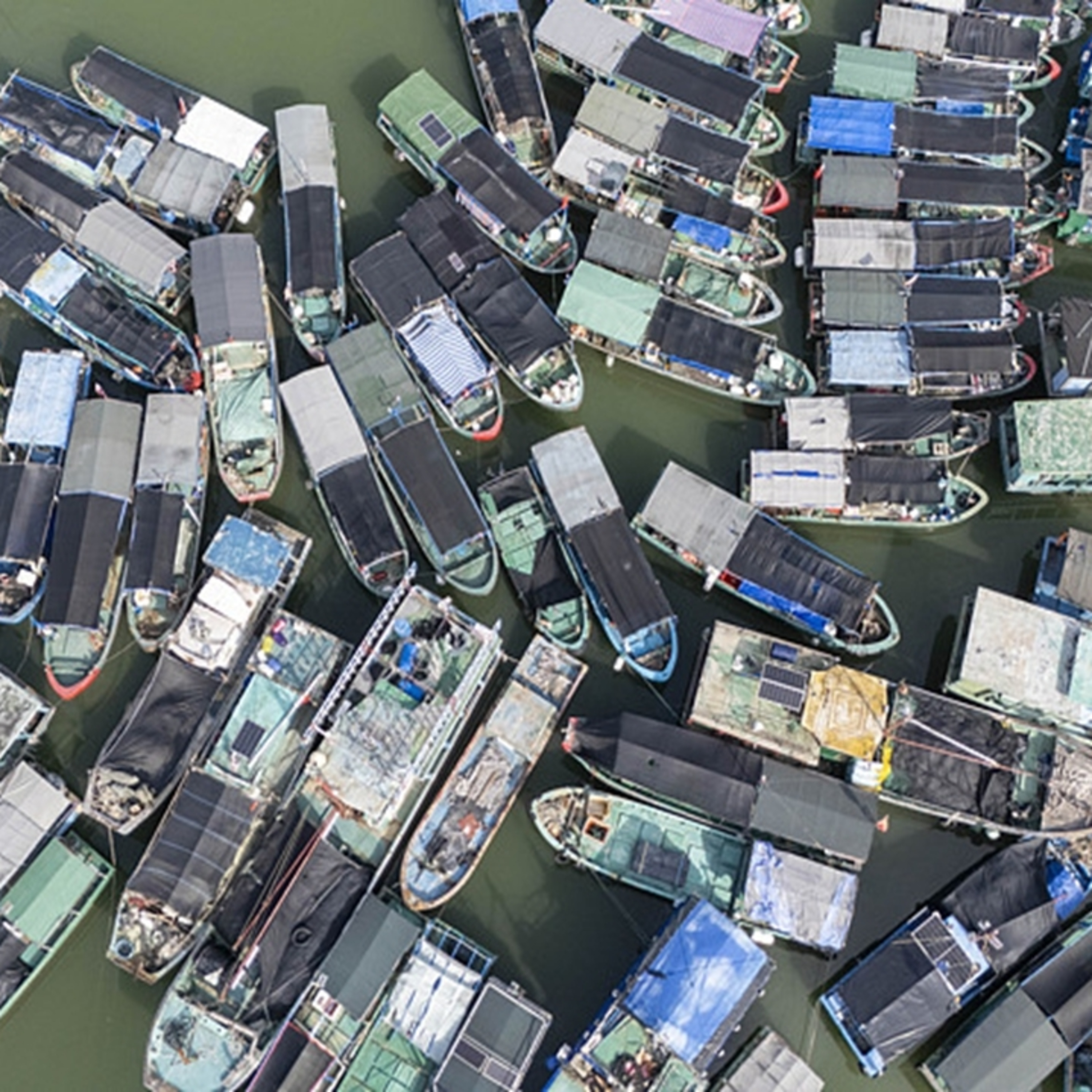 Tin quốc tế - Bão Fengshen ảnh hưởng đáng kể miền Nam Trung Quốc