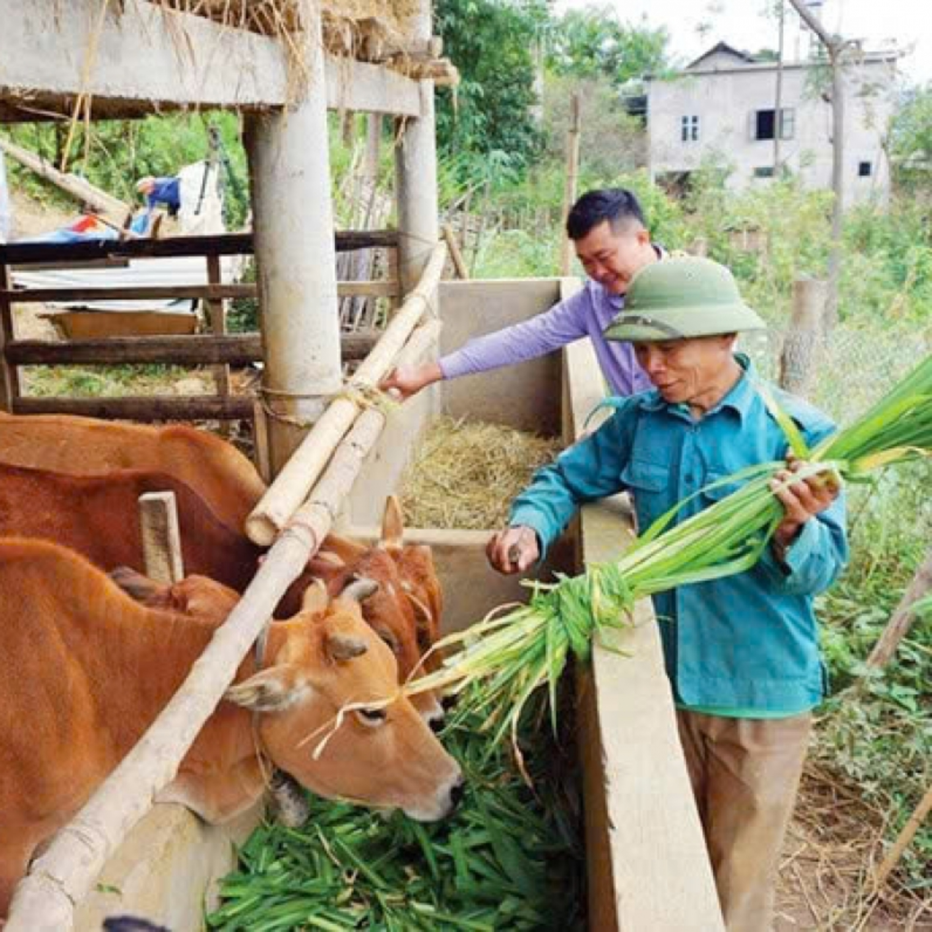Tin trong nước - Lai Châu triển khai hiệu quả Chương trình mục tiêu Giảm nghèo bền vững 2025
