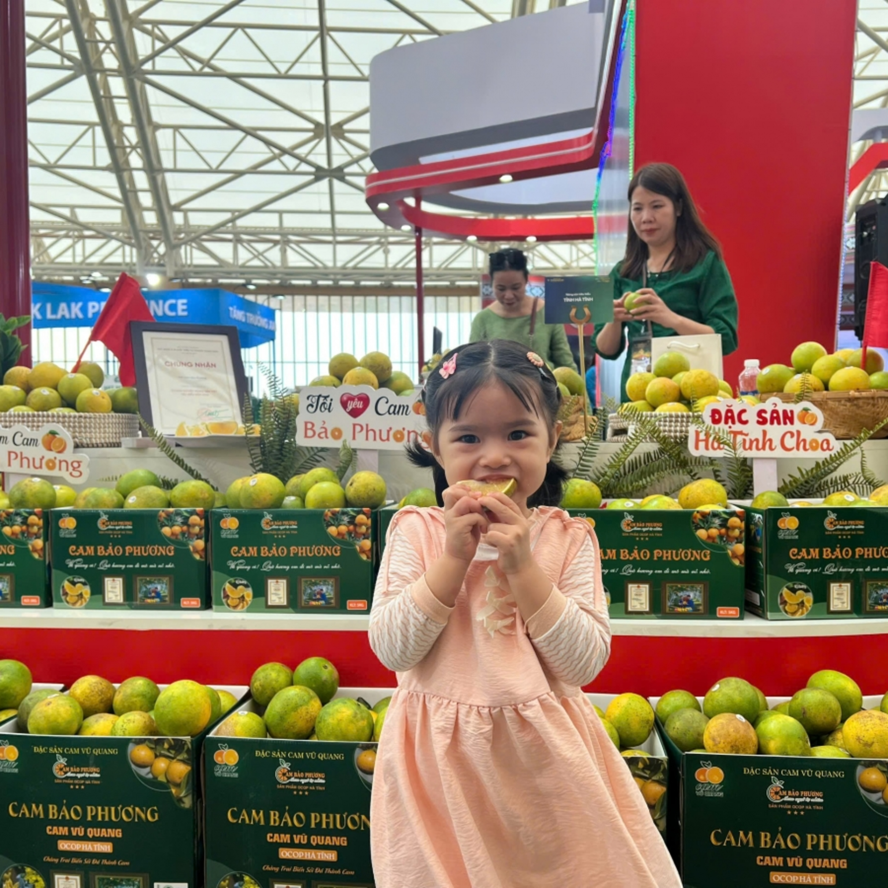 Tin trong nước - Nhiều nông đặc sản cháy hàng tại Hội chợ mùa thu lần thứ nhất 2025 Tin trong nước - Nhiều nông đặc sản cháy hàng tại Hội chợ mùa thu lần thứ nhất 2025