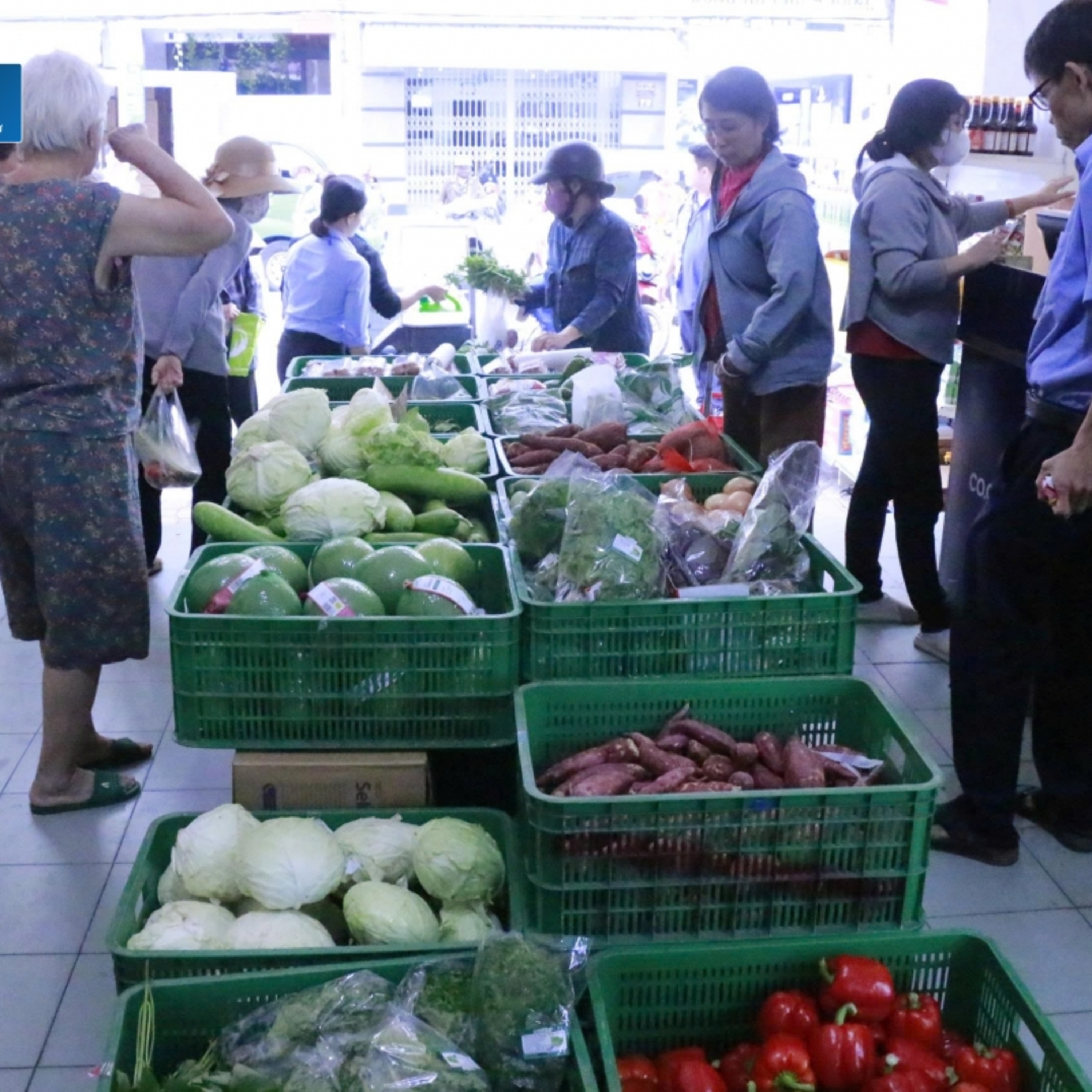 Tin trong nước - Khánh Hòa: Gian hàng “bình ổn giá” bán cao hơn chợ truyền thống
