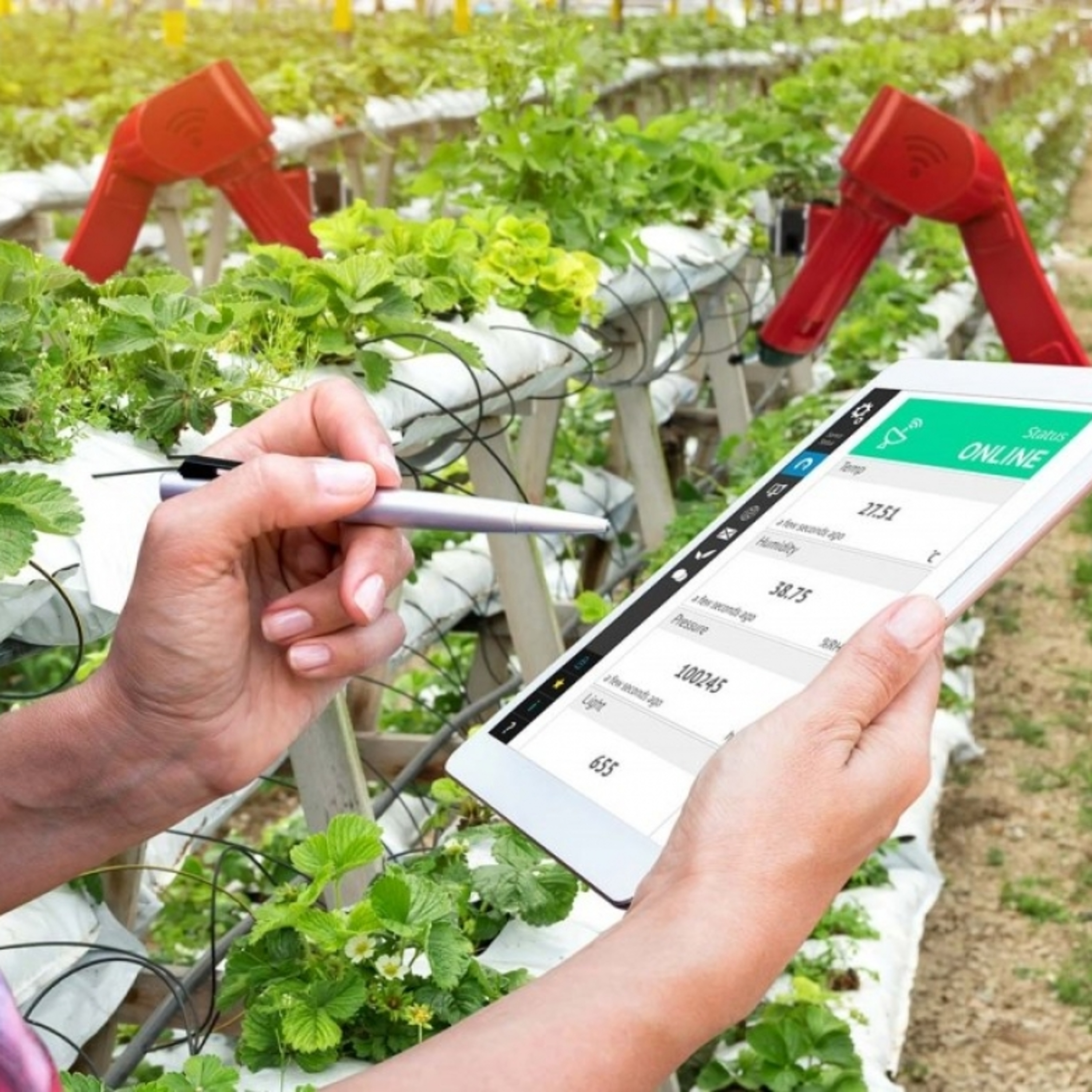 Tin trong nước - Ngành nông nghiệp Hà Nội: Đẩy mạnh chuyển đổi số góp phần giảm nghèo bền vững