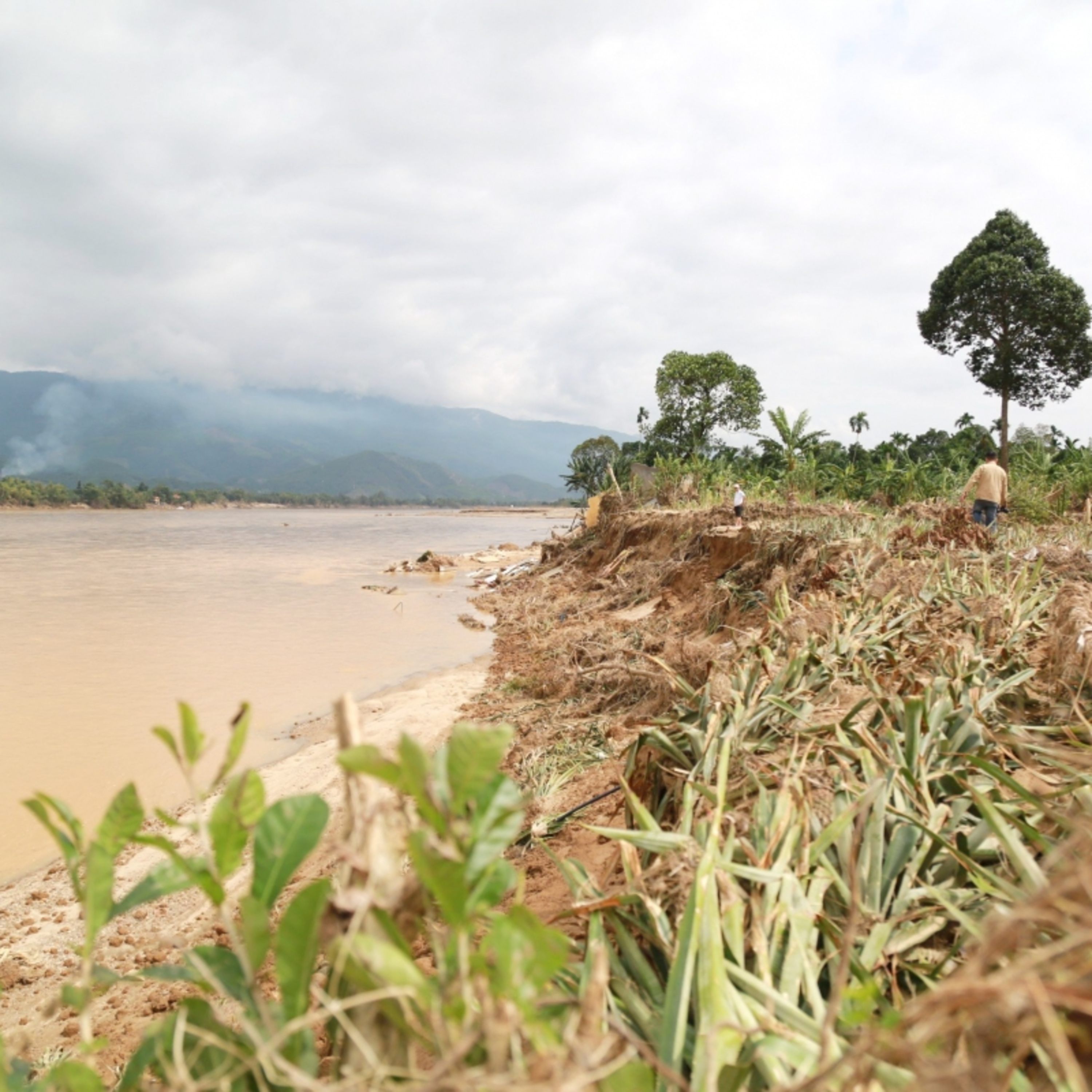Tin trong nước - Nhà sập xuống sông, ruộng vùi trong cát: Người dân hạ du Vu Gia gượng dậy sau mưa lũ