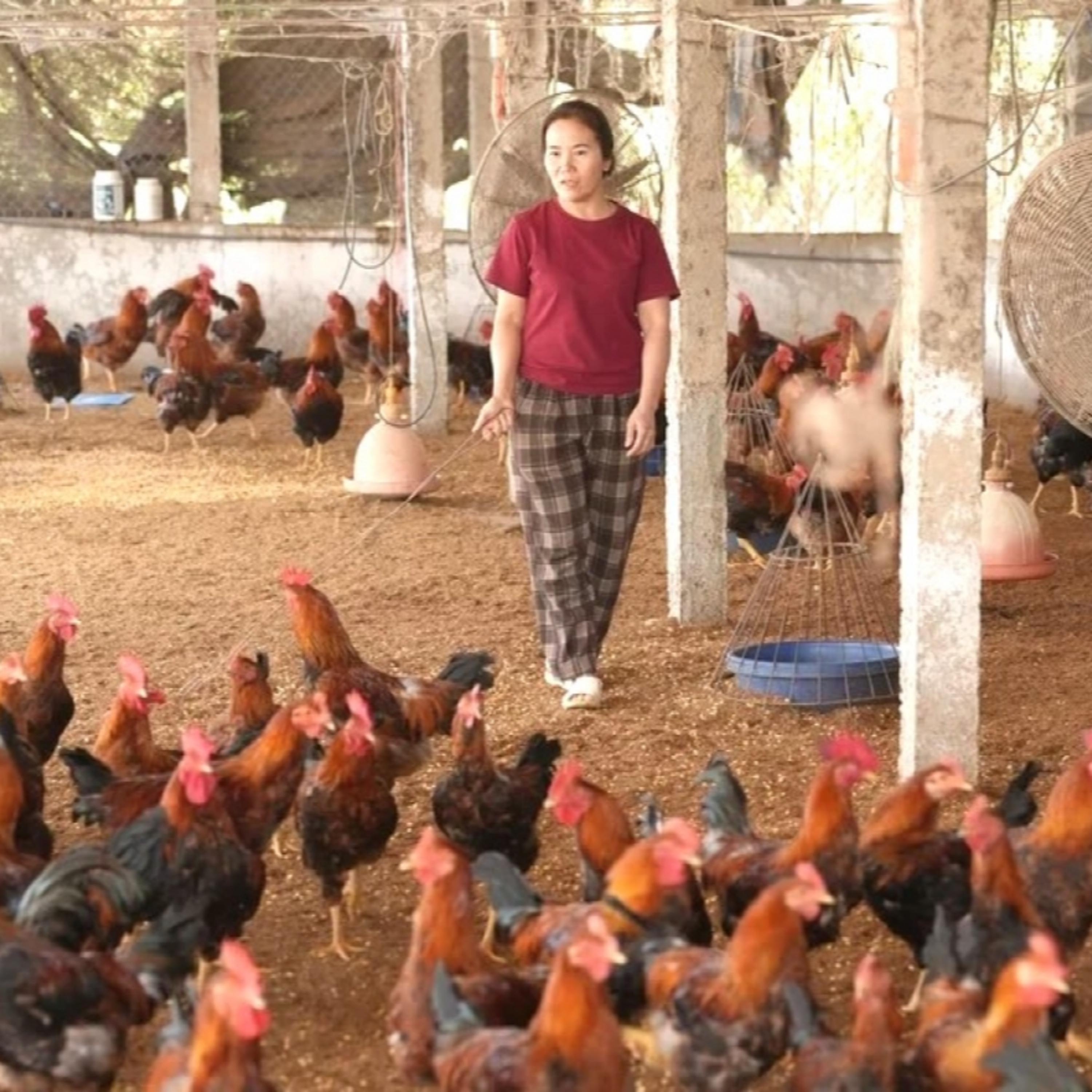 Tin trong nước - Bắc Ninh: không để công tác giảm nghèo gián đoạn sau sáp nhập