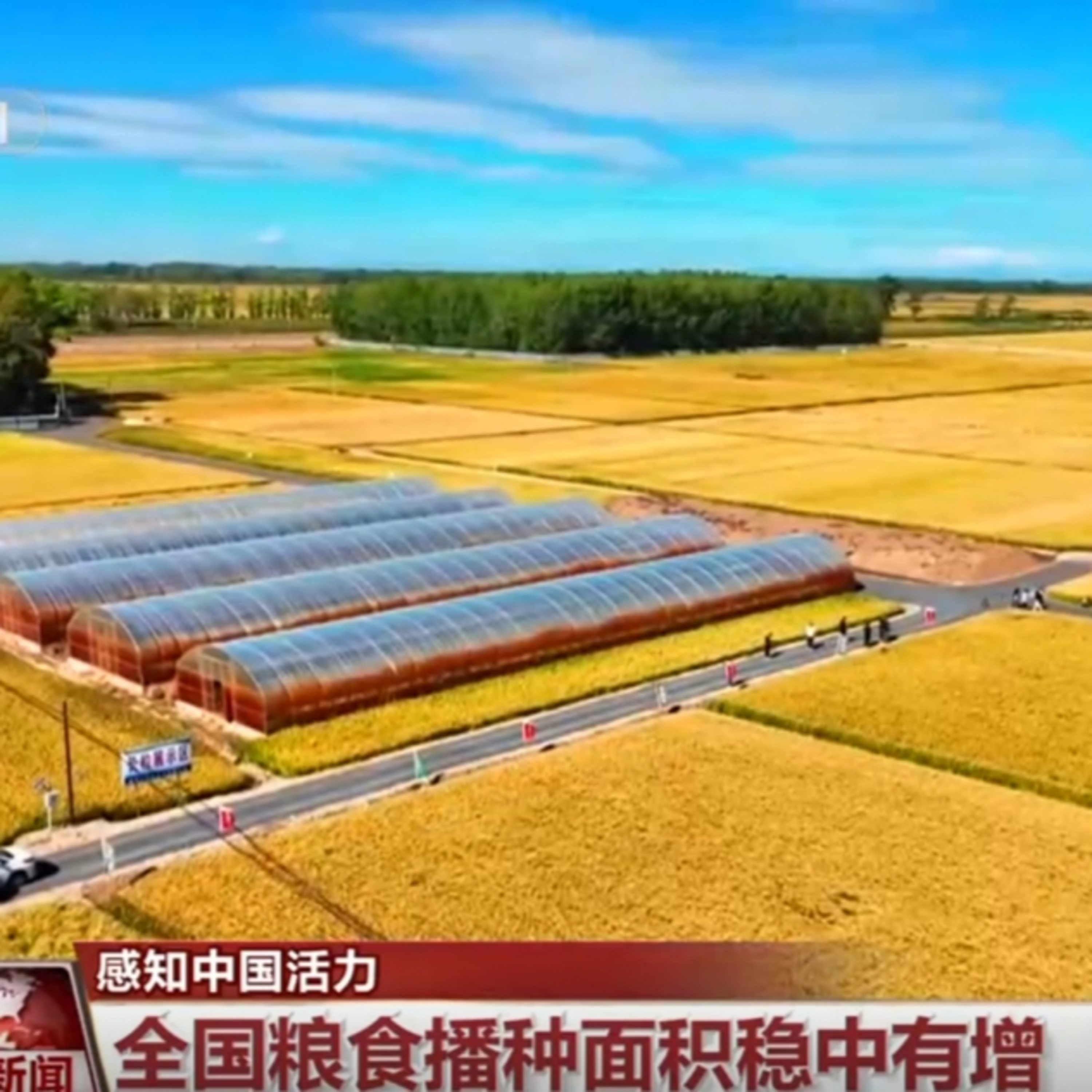 Tin quốc tế - Sản lượng lương thực của Trung Quốc năm 2025 đạt mức cao kỷ lục Tin quốc tế - Sản lượng lương thực của Trung Quốc năm 2025 đạt mức cao kỷ lục