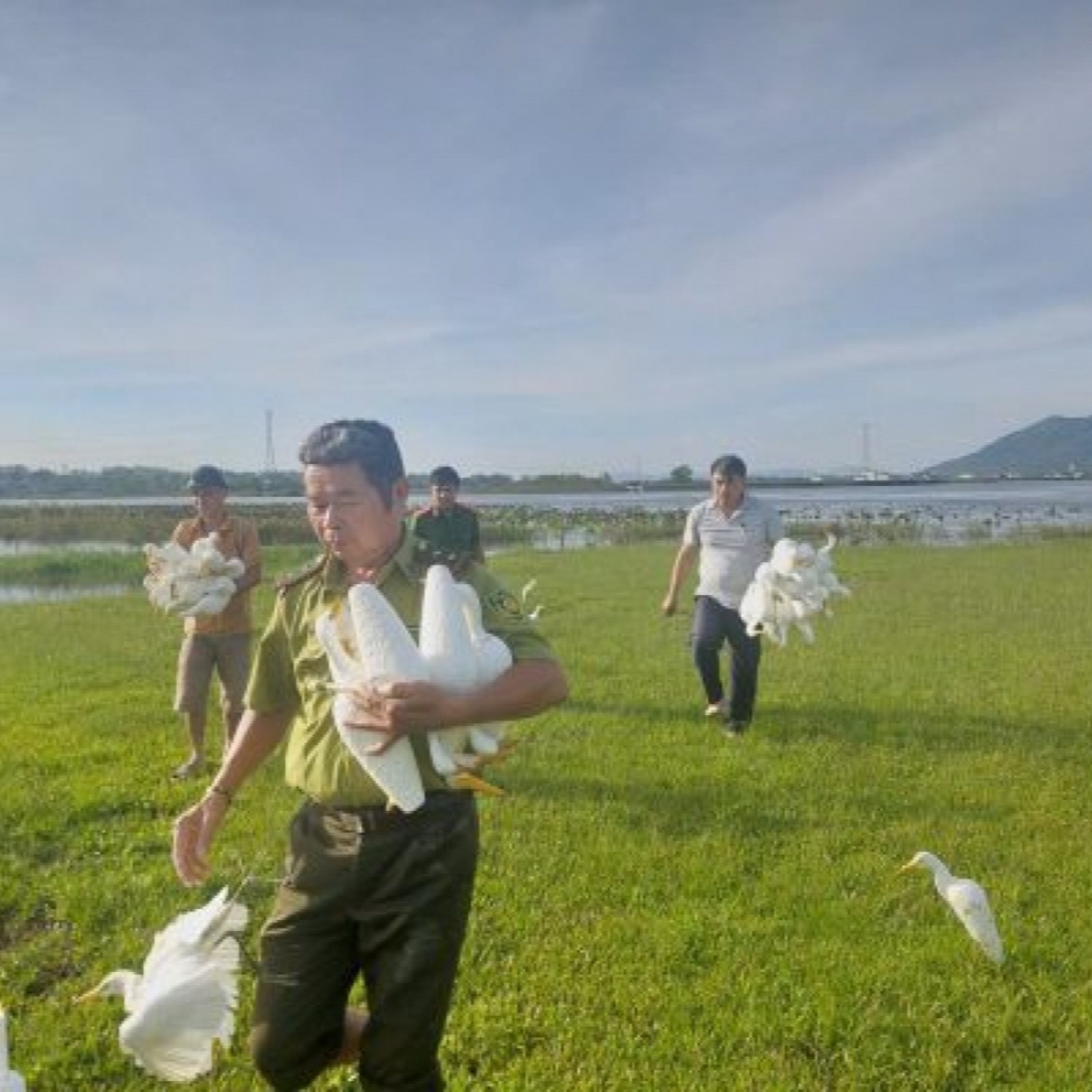 Tin trong nước - Chi cục kiểm lâm vùng II phát hiện 11 khu vực có hoạt động bẫy chim trái phép Tin trong nước - Chi cục kiểm lâm vùng II phát hiện 11 khu vực có hoạt động bẫy chim trái phép