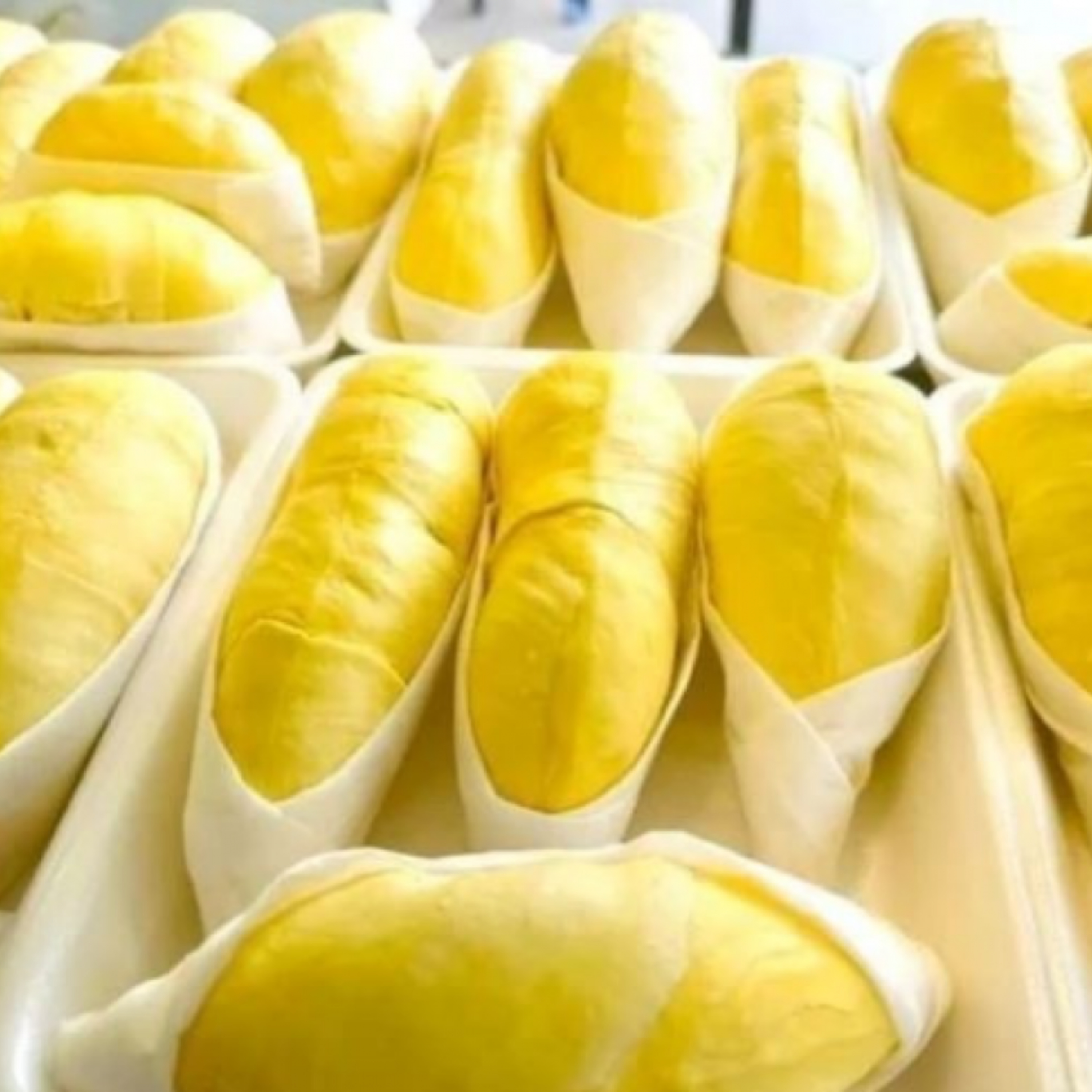 Tin trong nước - Lô sầu riêng đông lạnh đầu tiên tới Trung Quốc- Cơ hội cho nông dân và nhà xuất khẩu Indonesia Tin trong nước - Lô sầu riêng đông lạnh đầu tiên tới Trung Quốc- Cơ hội cho nông dân và nhà xuất khẩu Indonesia