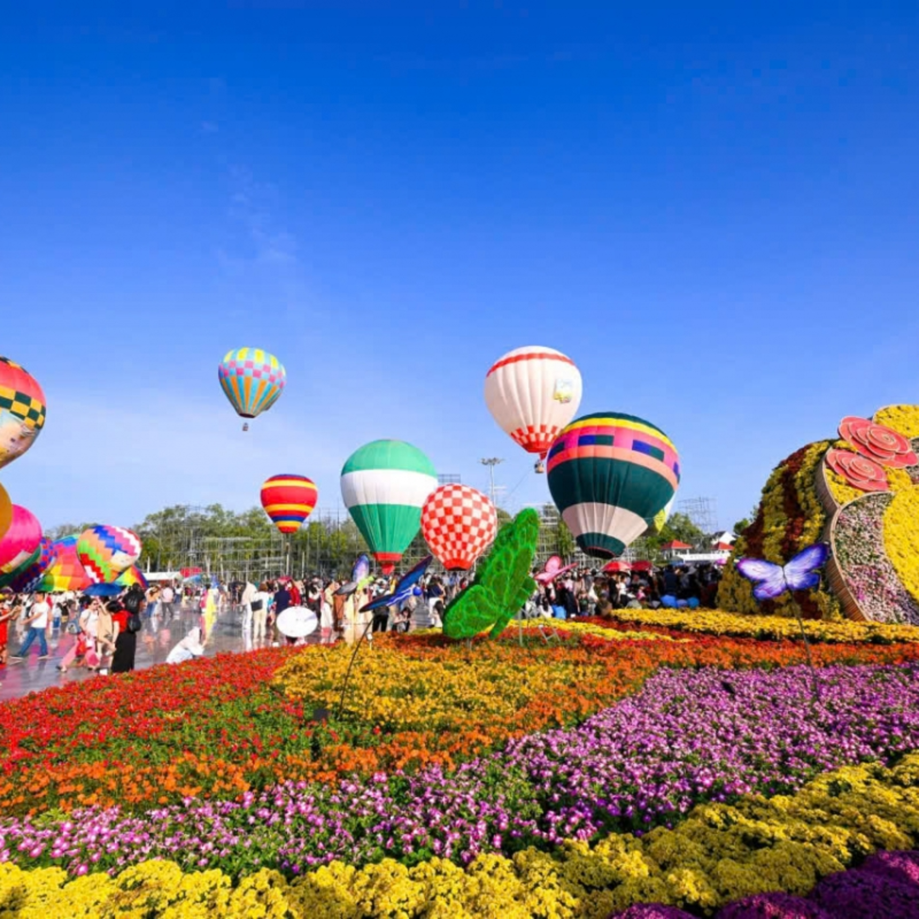 Tin trong nước - Dịp Tết Dương lịch 2026, du khách đến tỉnh Đồng Tháp tăng cao