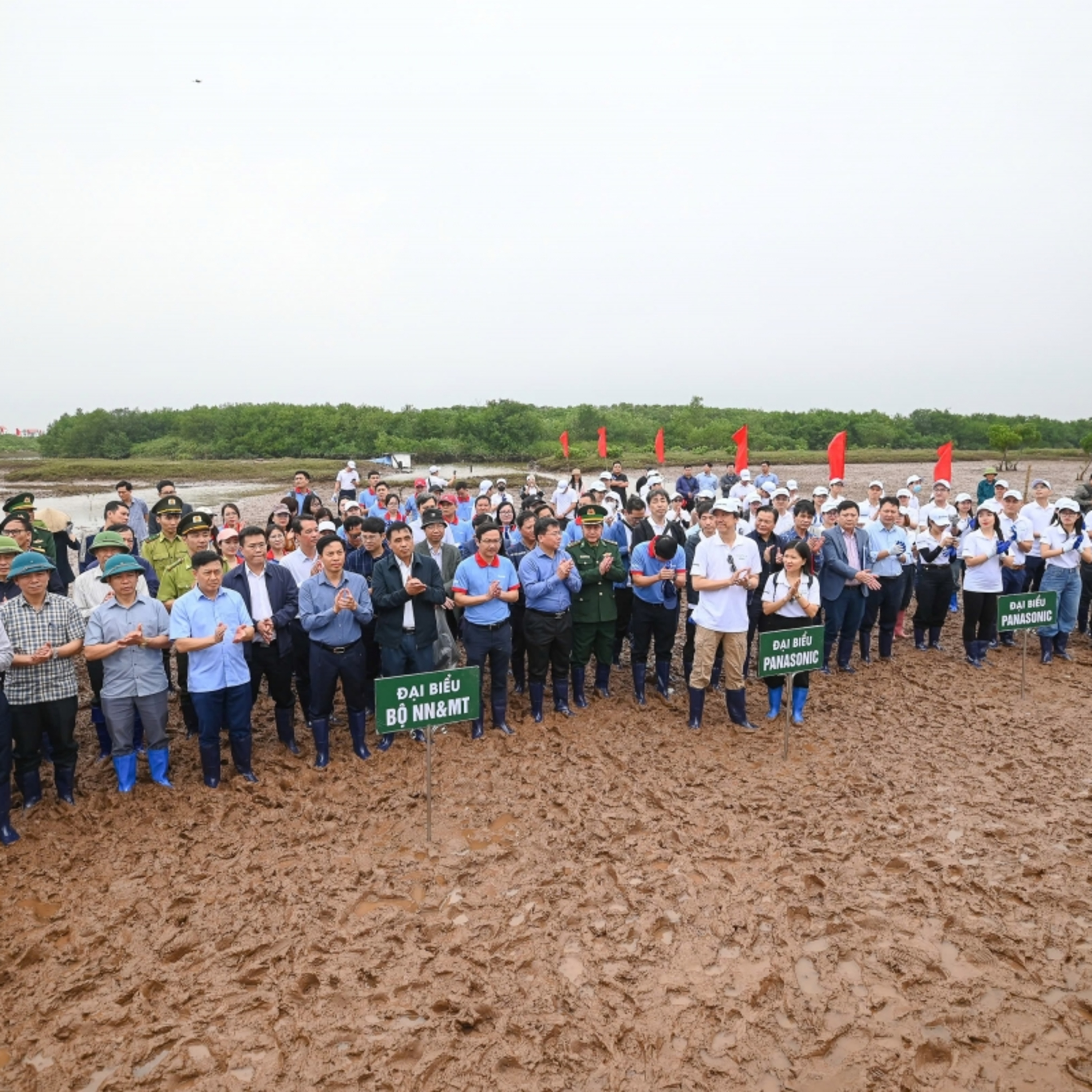 Tin trong nước - Trồng rừng ven biển: Doanh nghiệp đồng hành bảo vệ đa dạng sinh học