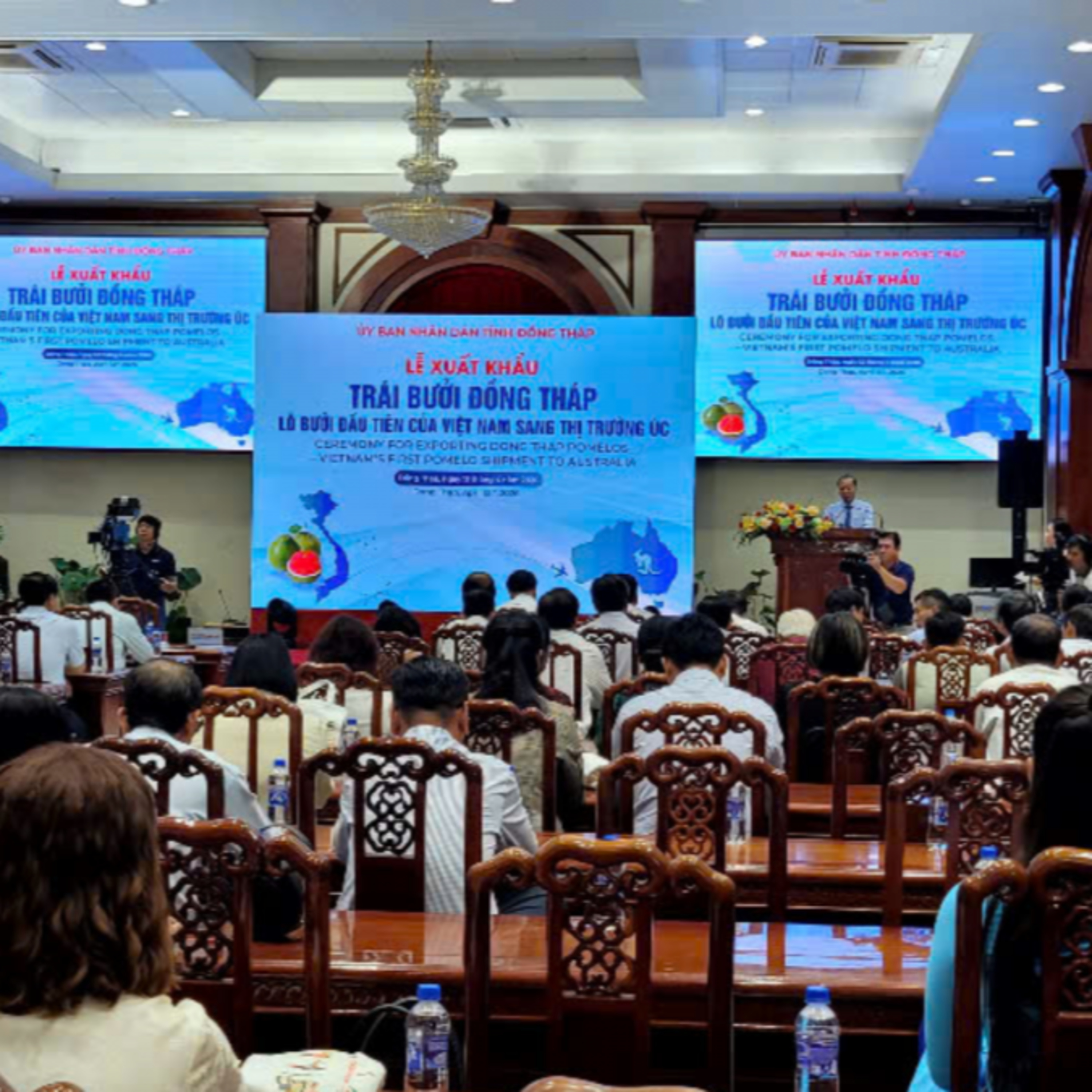 Tin Đời sống & Xã hội - Đồng Tháp: Đưa lô bưởi da xanh đầu tiên xuất khẩu sang thị trường Úc