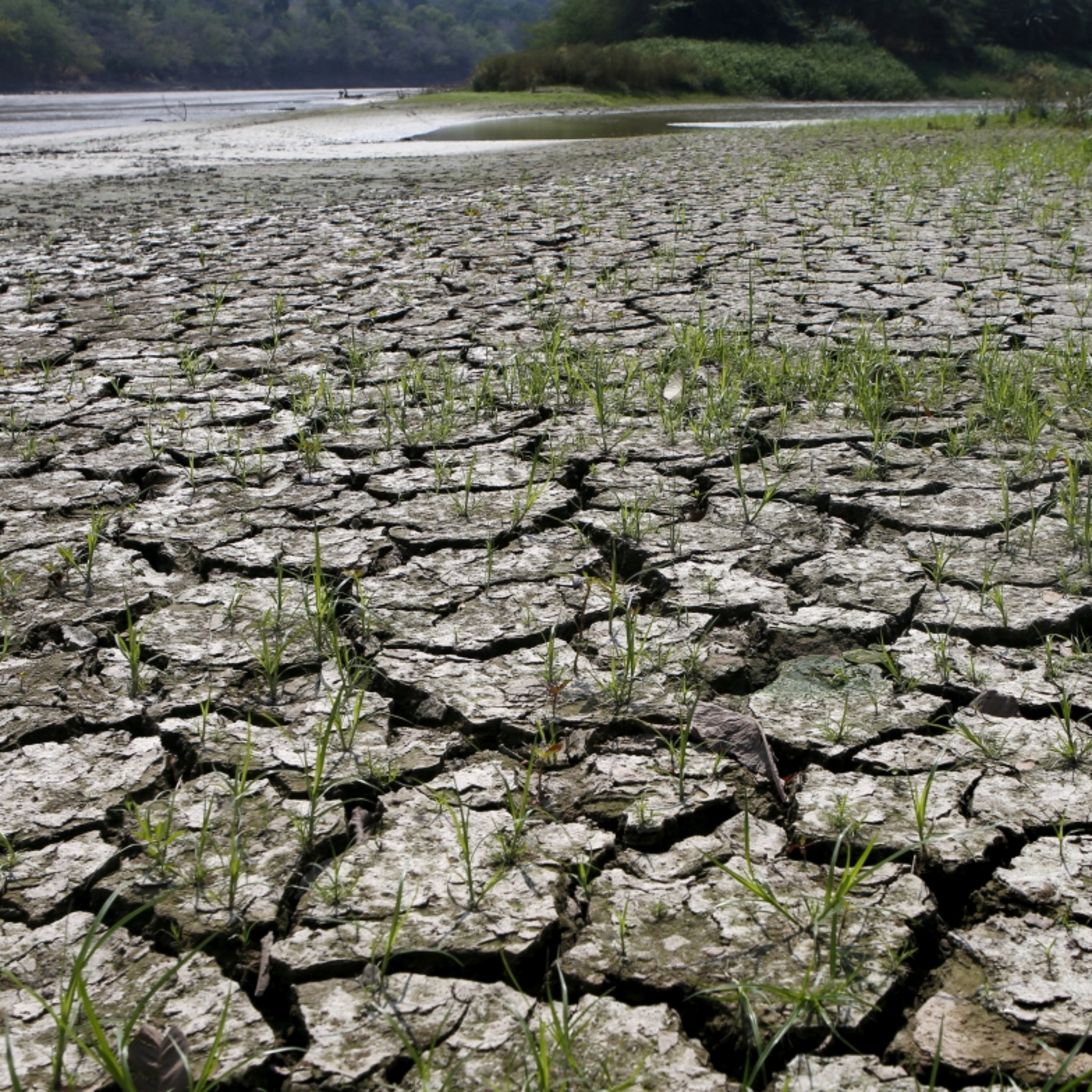 Tin thế giới - Thái Lan kích hoạt kế hoạch ứng phó toàn quốc với nguy cơ siêu El Nino