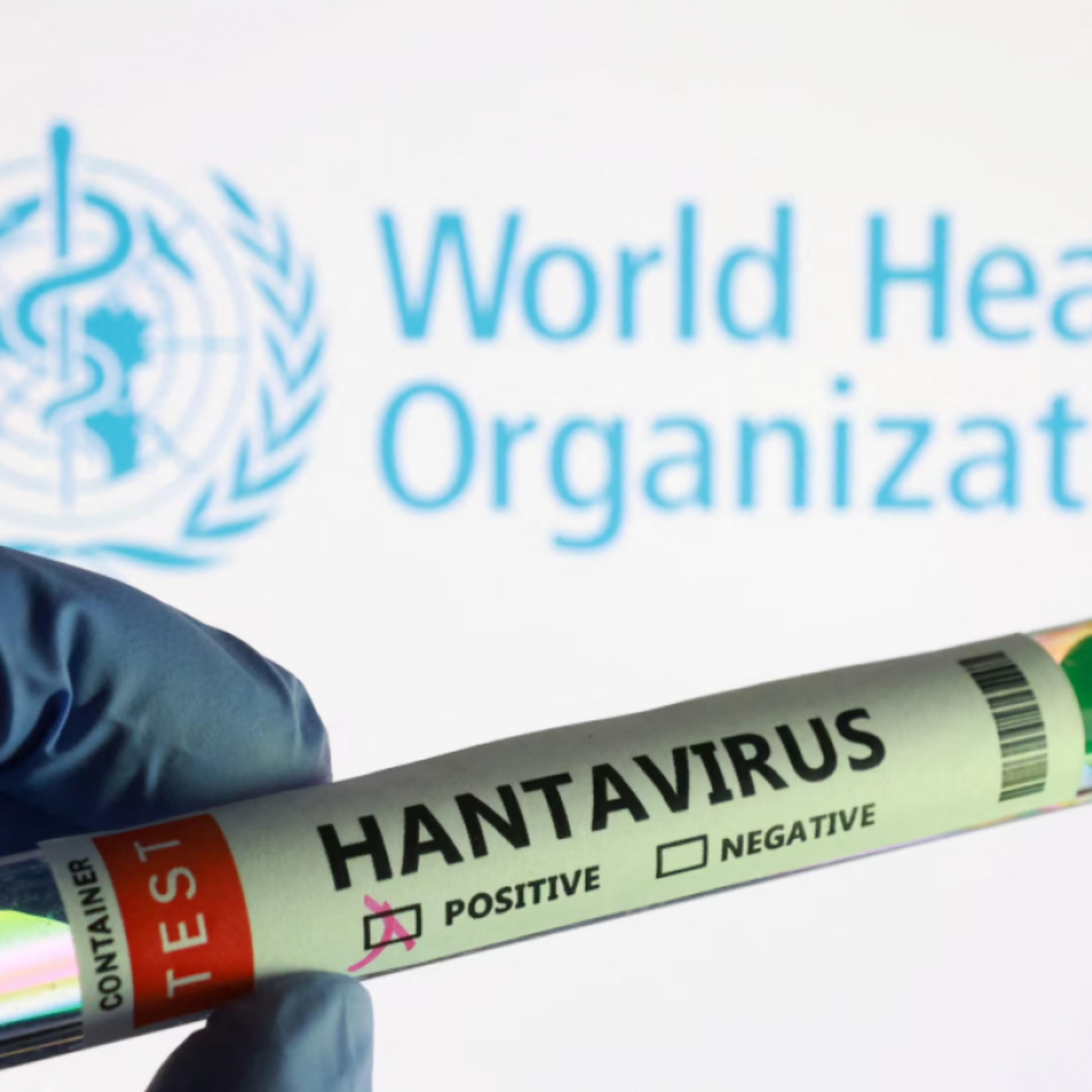 Tin thế giới - Pháp ban hành sắc lệnh cách ly 42 ngày đối với hành khách từ tàu MV Hondius do lo ngại hantavirus