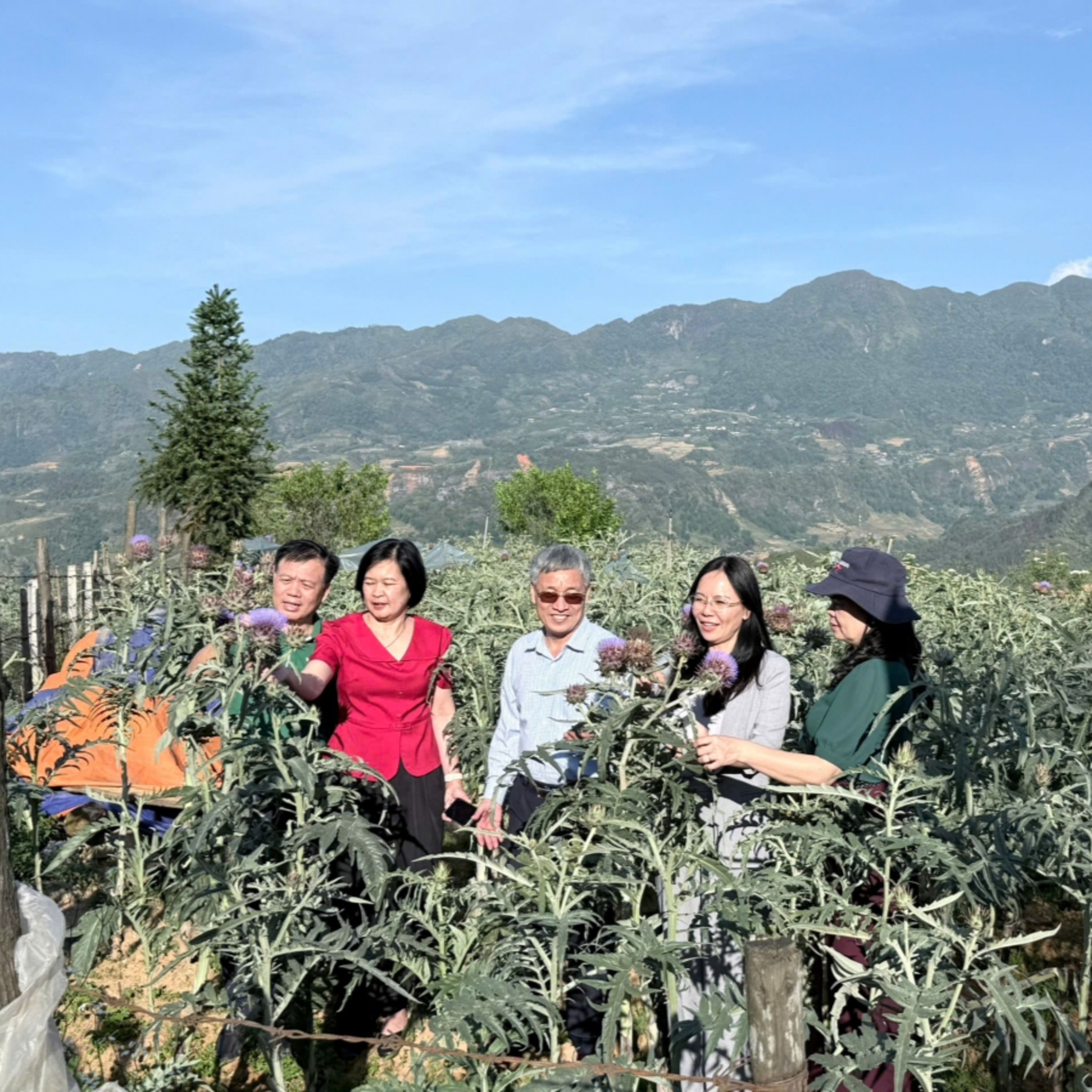 Tin Đời sống & Xã hội - Lào Cai sắp hình thành Bảo tàng Dược liệu số