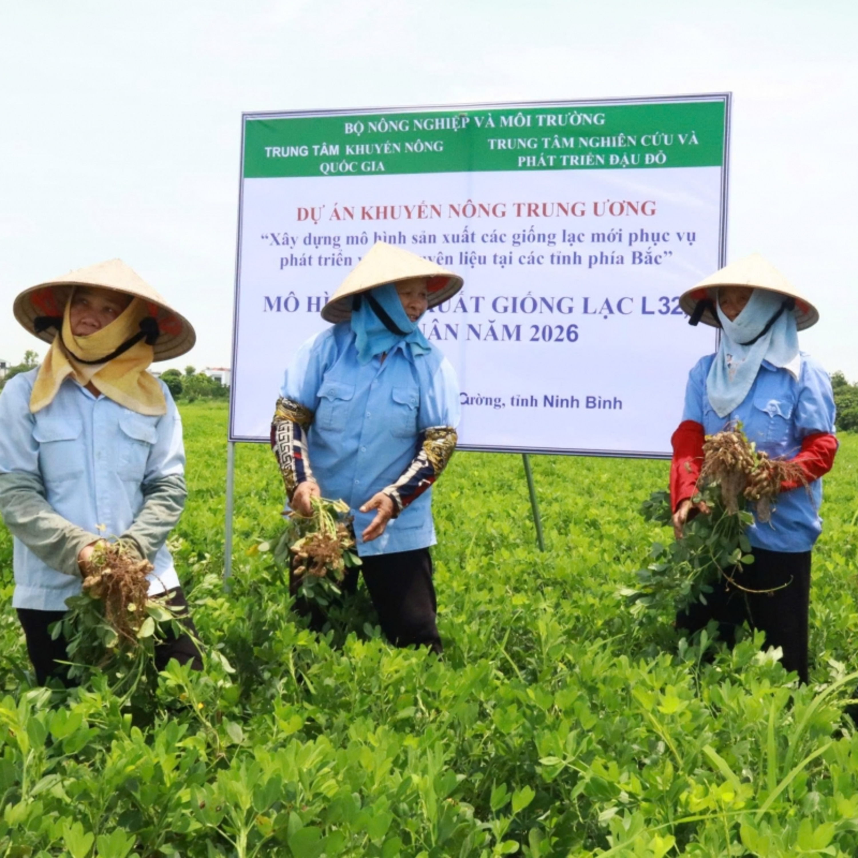 Tin Nông nghiệp & Biển đảo - Từ giống mới đến cánh đồng hàng hoá