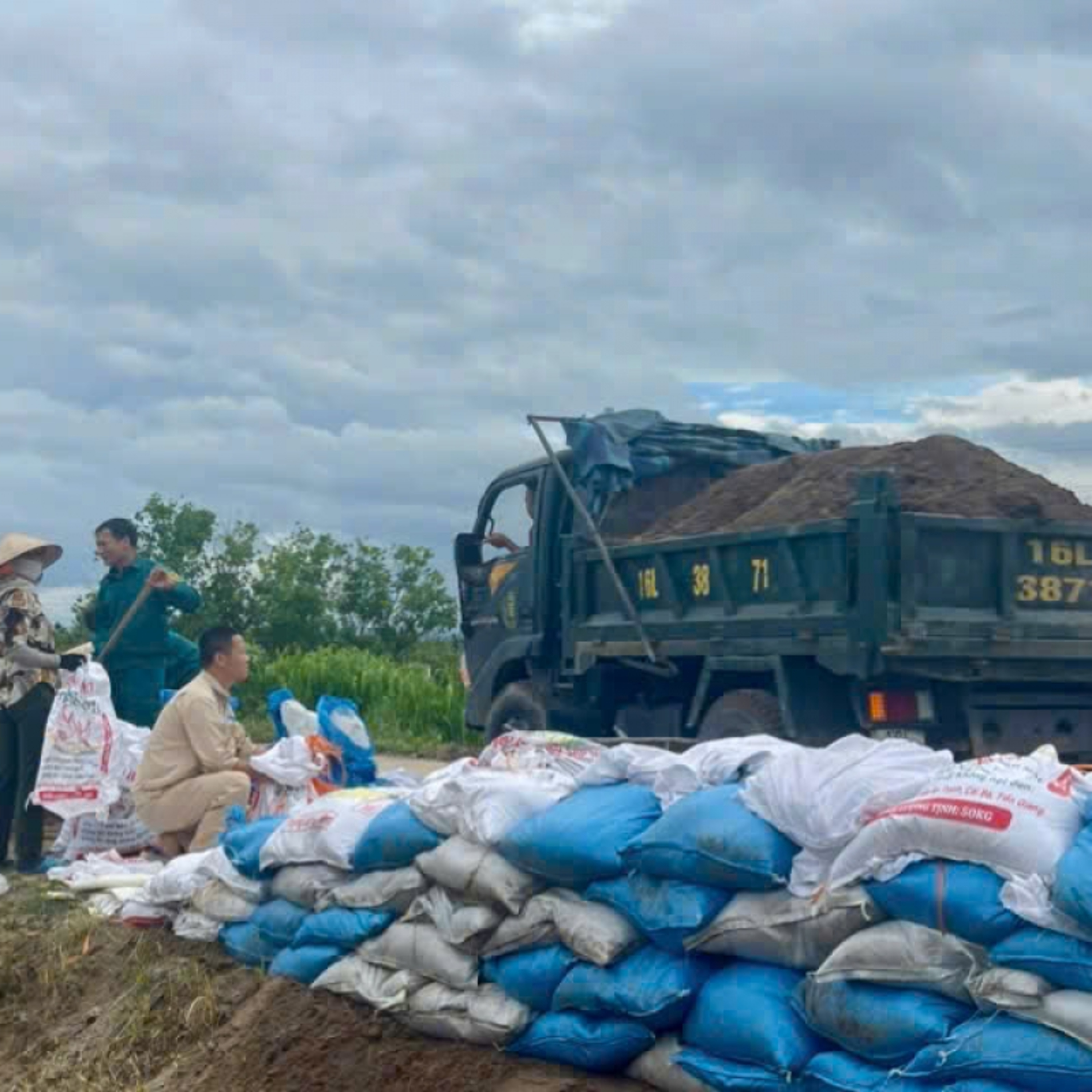 Tin Đời sống & Xã hội - Hải Phòng chủ động tiêu úng, bảo vệ đê điều và hoa màu phòng mưa lớn sau bão số 1