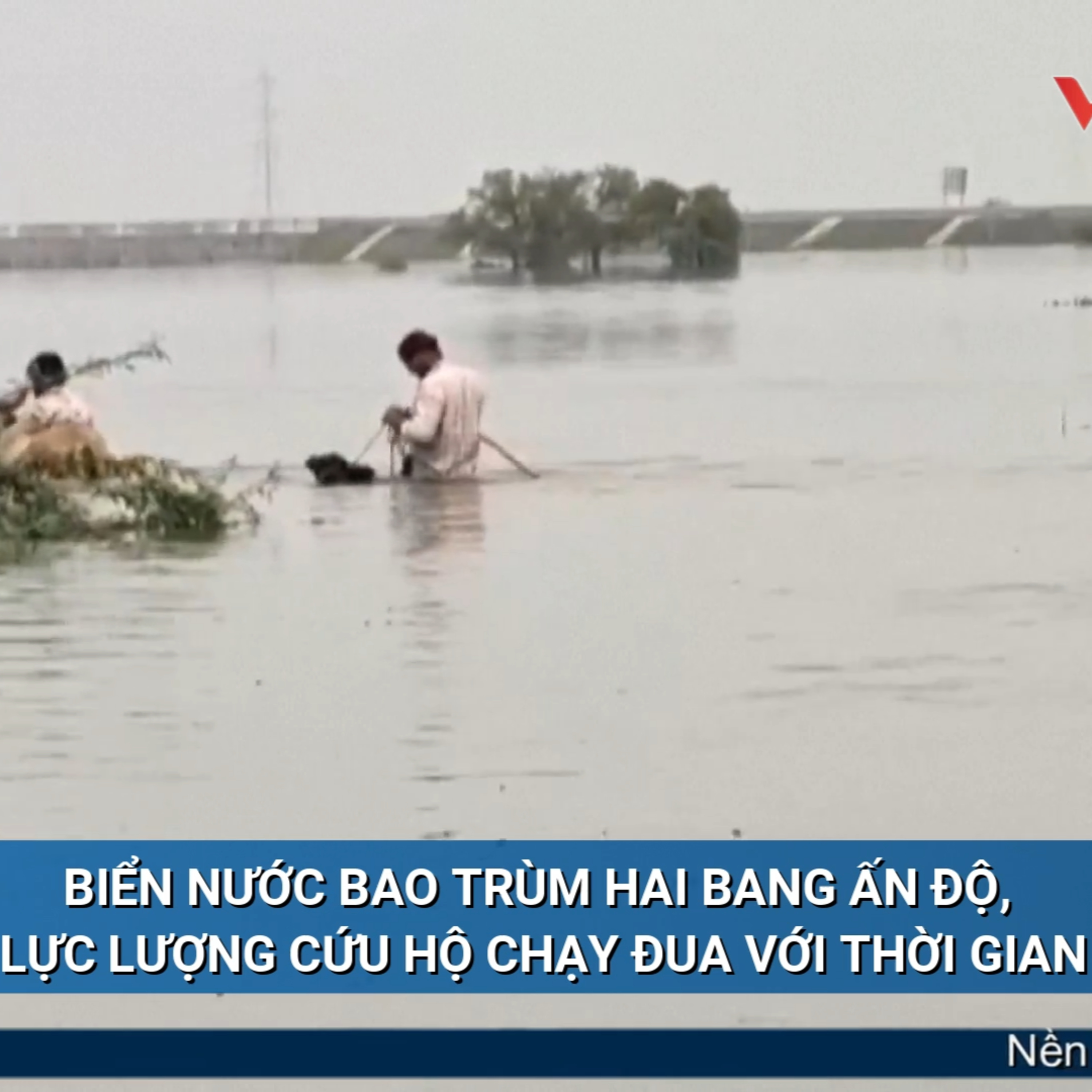 Tin quốc tế - Biển nước bao trùm hai bang Ấn Độ, lực lượng cứu hộ chạy đua với thời gian episode artwork
