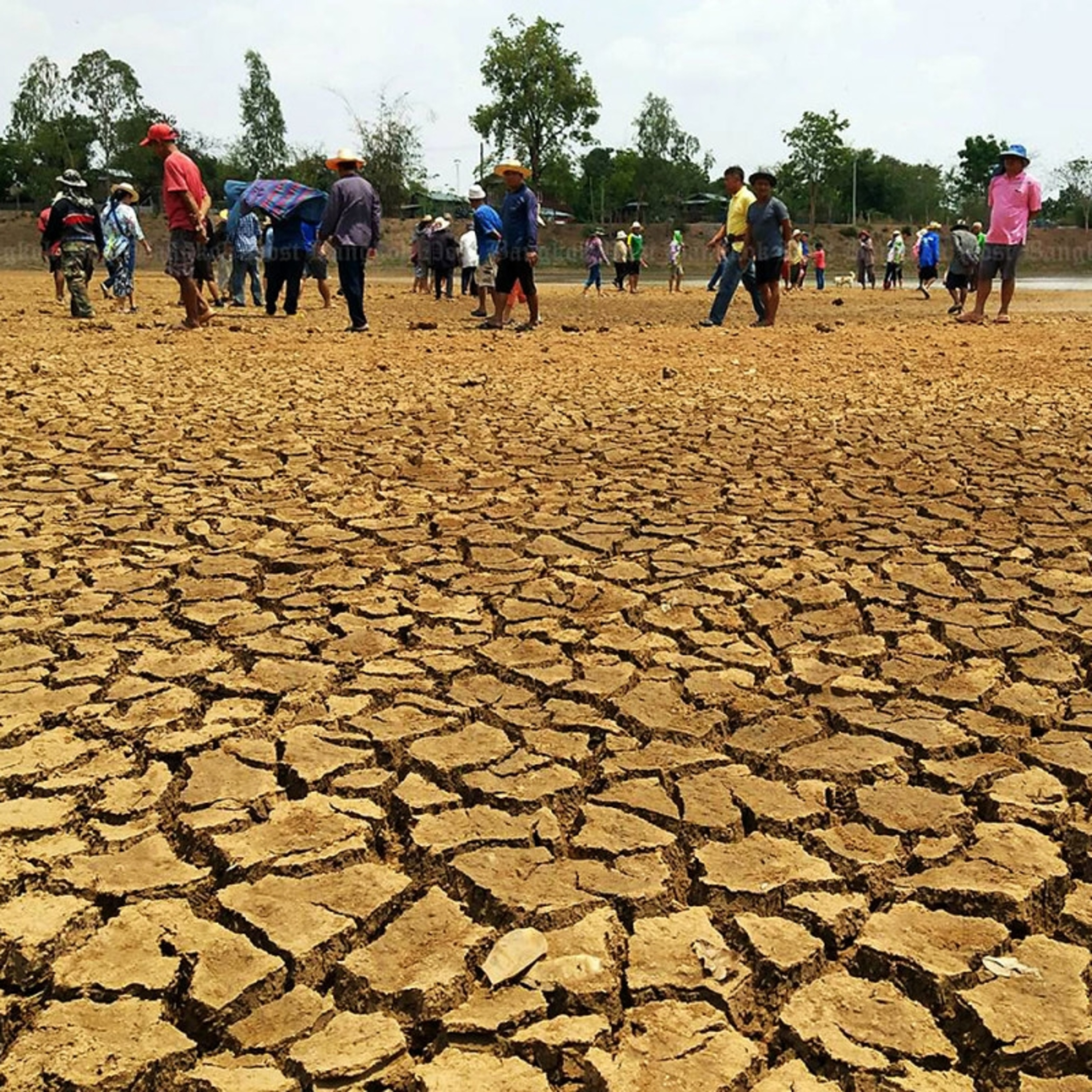 Tin thế giới - Siêu El Niño uy hiếp Thái Lan, Malaysia với nắng nóng cực đoan và tình trạng "bom mưa”