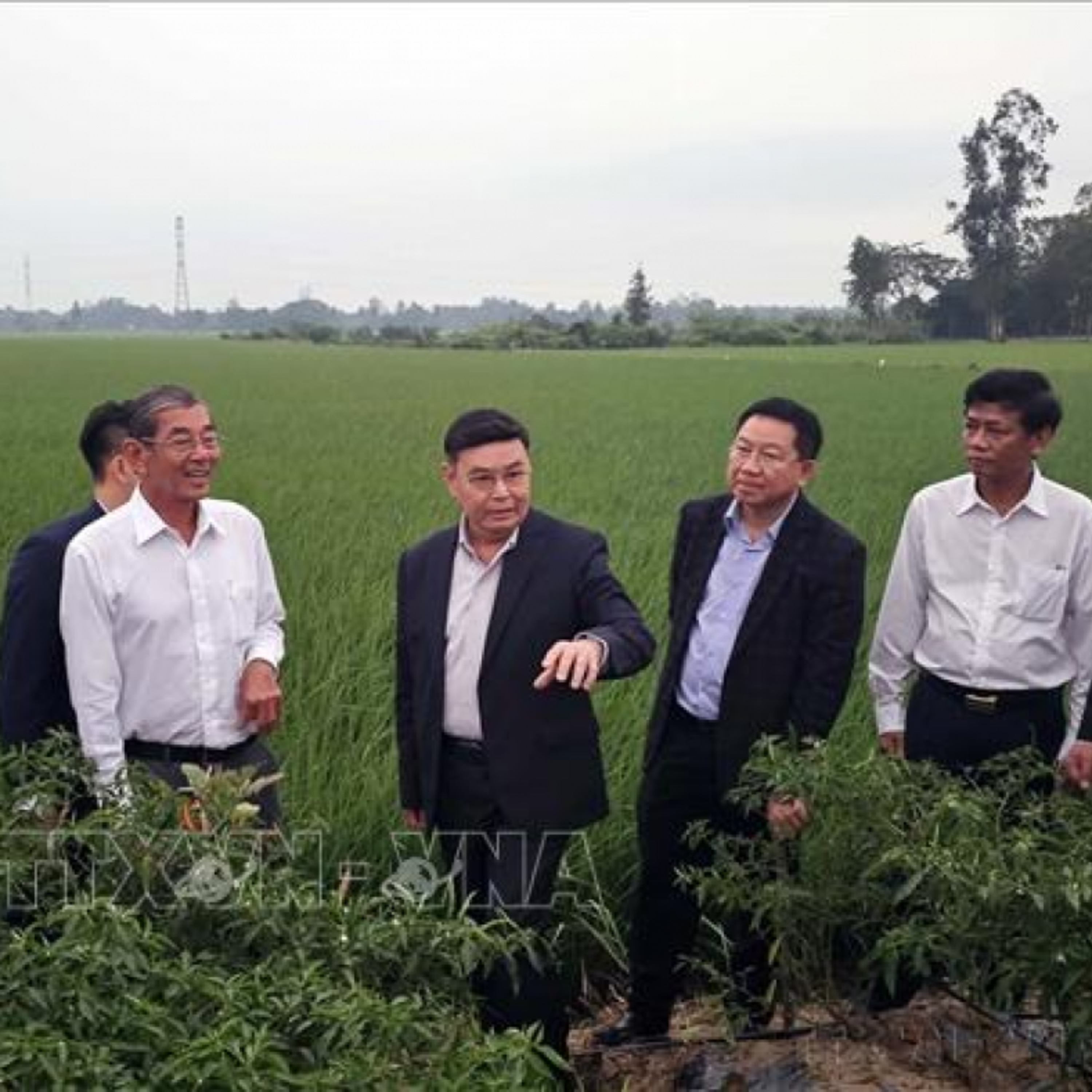 Tin thế giới - Nuôi dưỡng "gốc rễ" hữu nghị Việt-Lào:Tâm huyết với thế hệ trẻ của cố Chủ tịch Quốc hội Xaysomphone