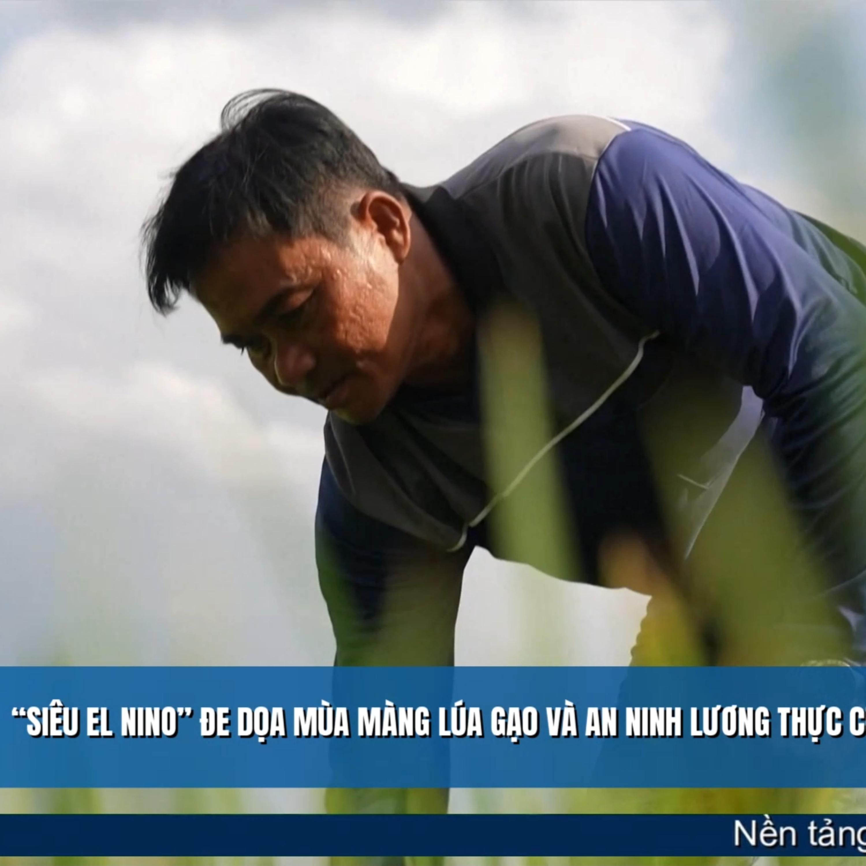 Tin quốc tế - “Siêu El Nino” đe dọa mùa màng lúa gạo và an ninh lương thực của Thái Lan