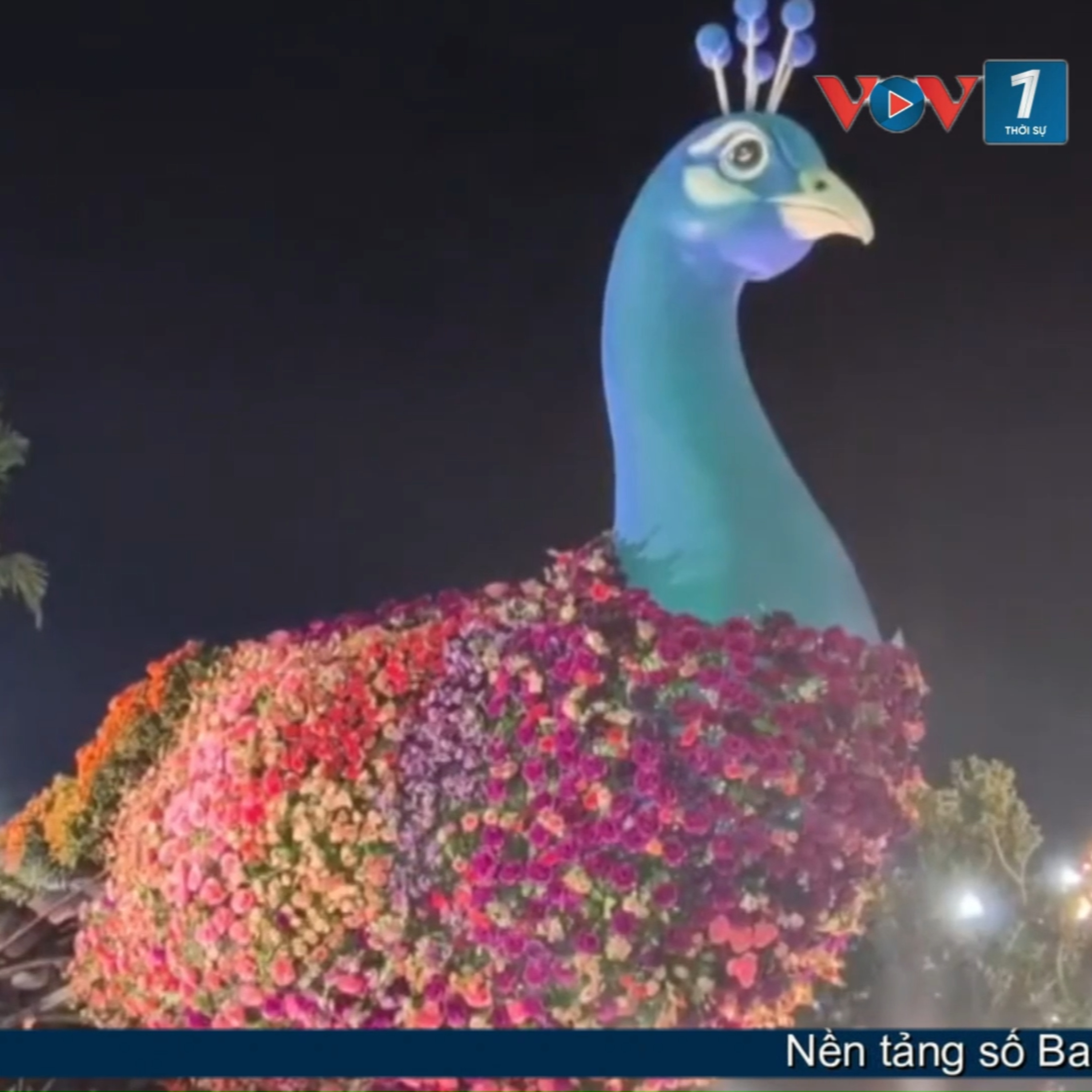 Tin trong nước - Gia Lai khai mạc Lễ hội Ngàn hoa
