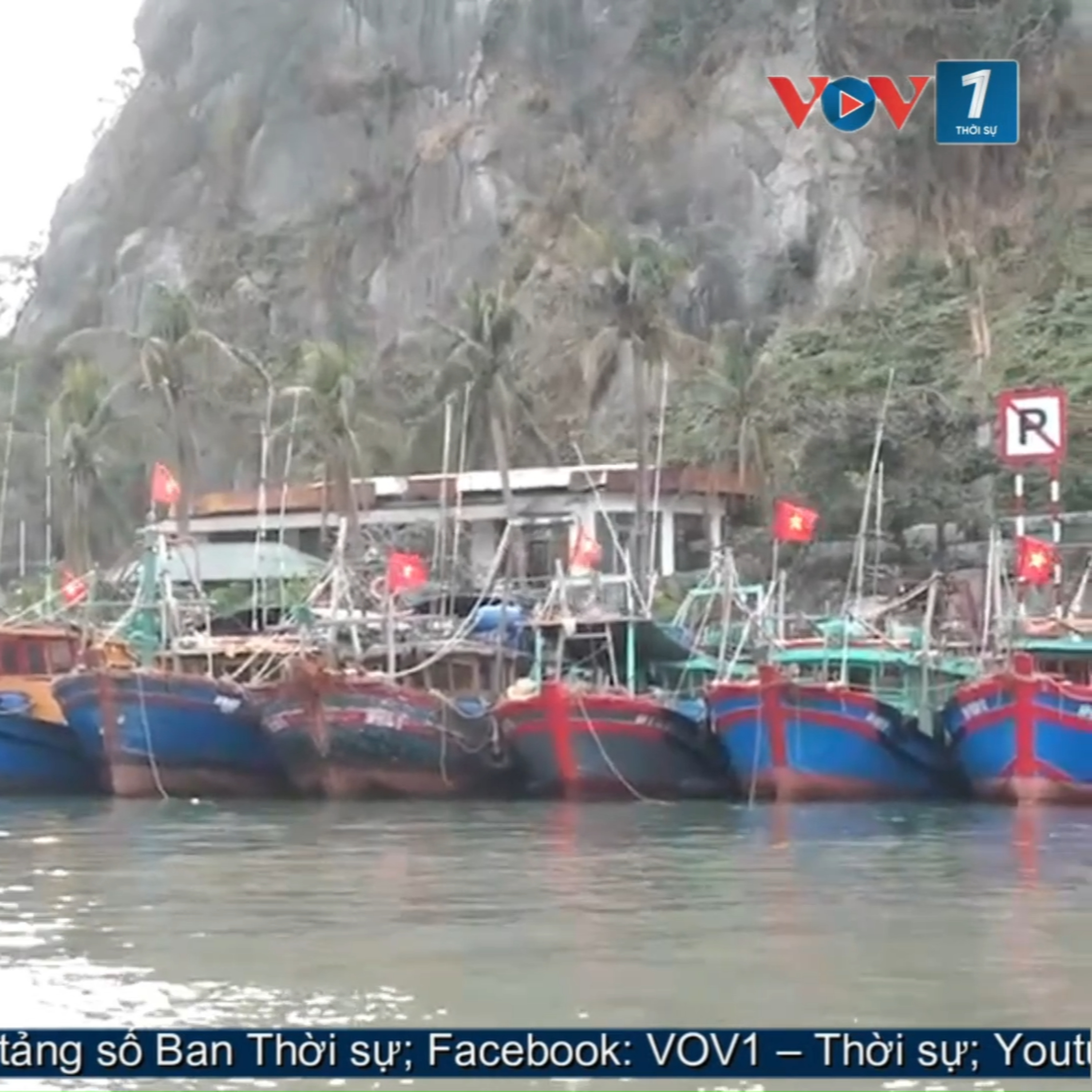 Tin trong nước - Quảng Ninh làm rõ 29/30 trường hợp tàu cá mất kết nối VMS episode artwork