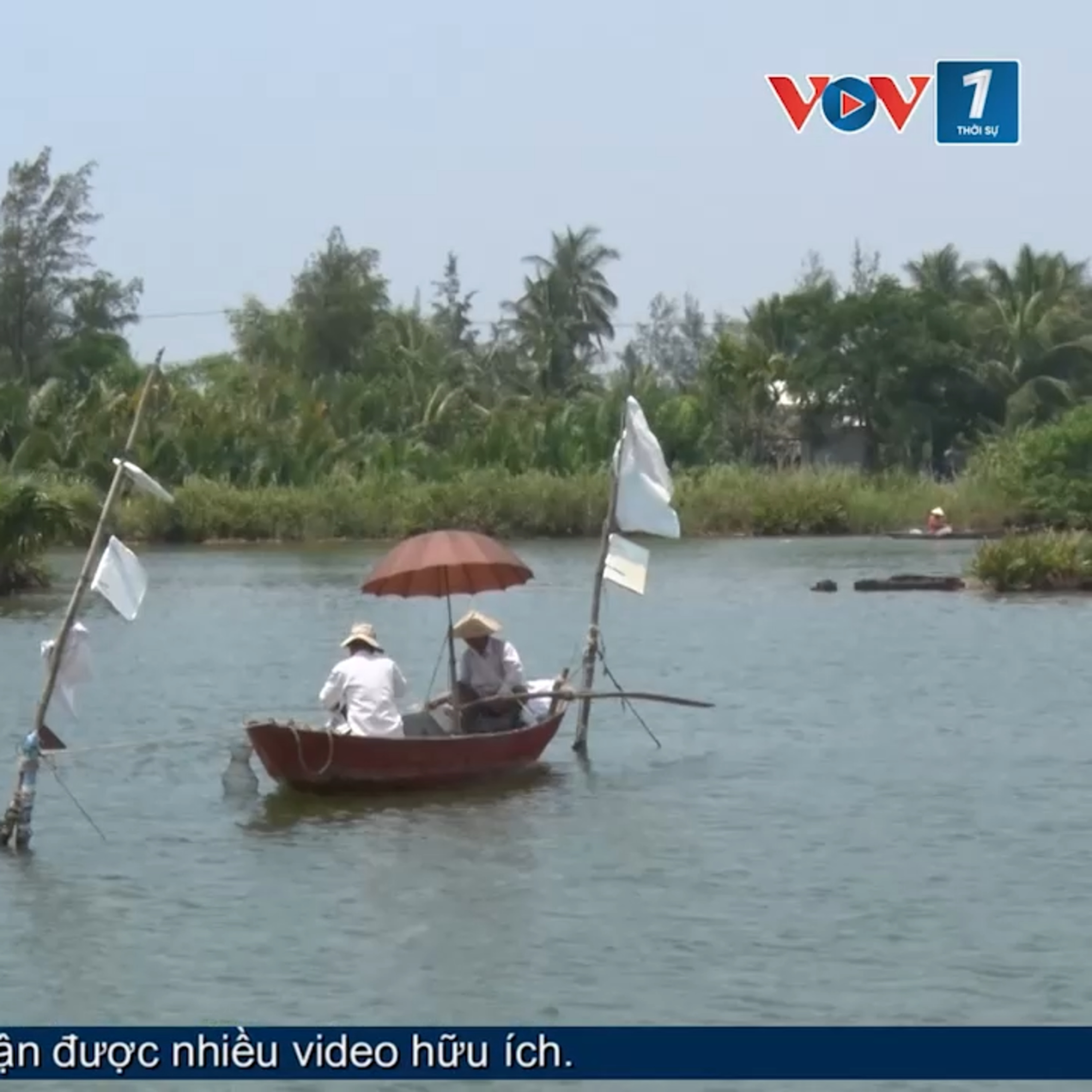Tin trong nước - Cù Lao Chàm (Đà Nẵng): Khi rừng, biển và con người cùng thở