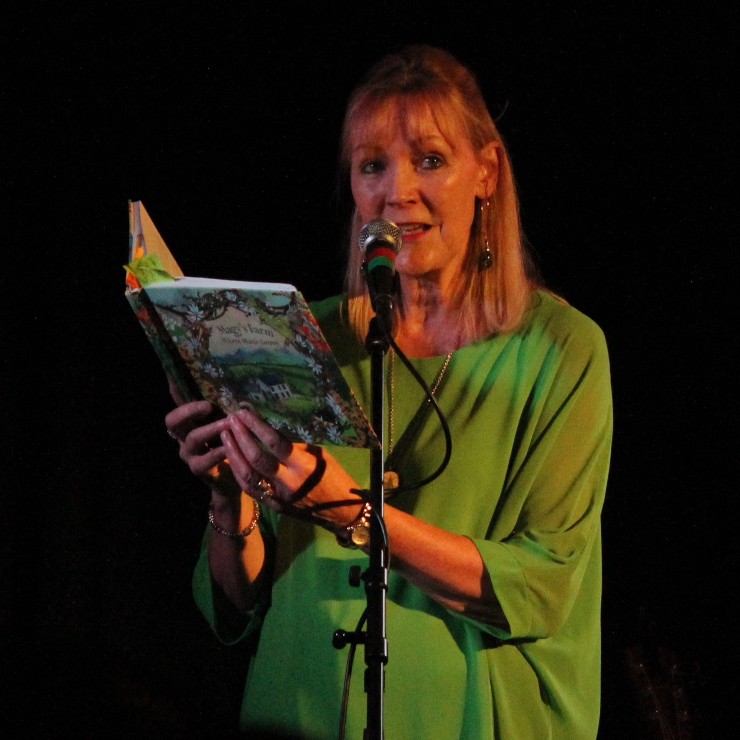 On The Bookcase with Maggie Doyle episode artwork