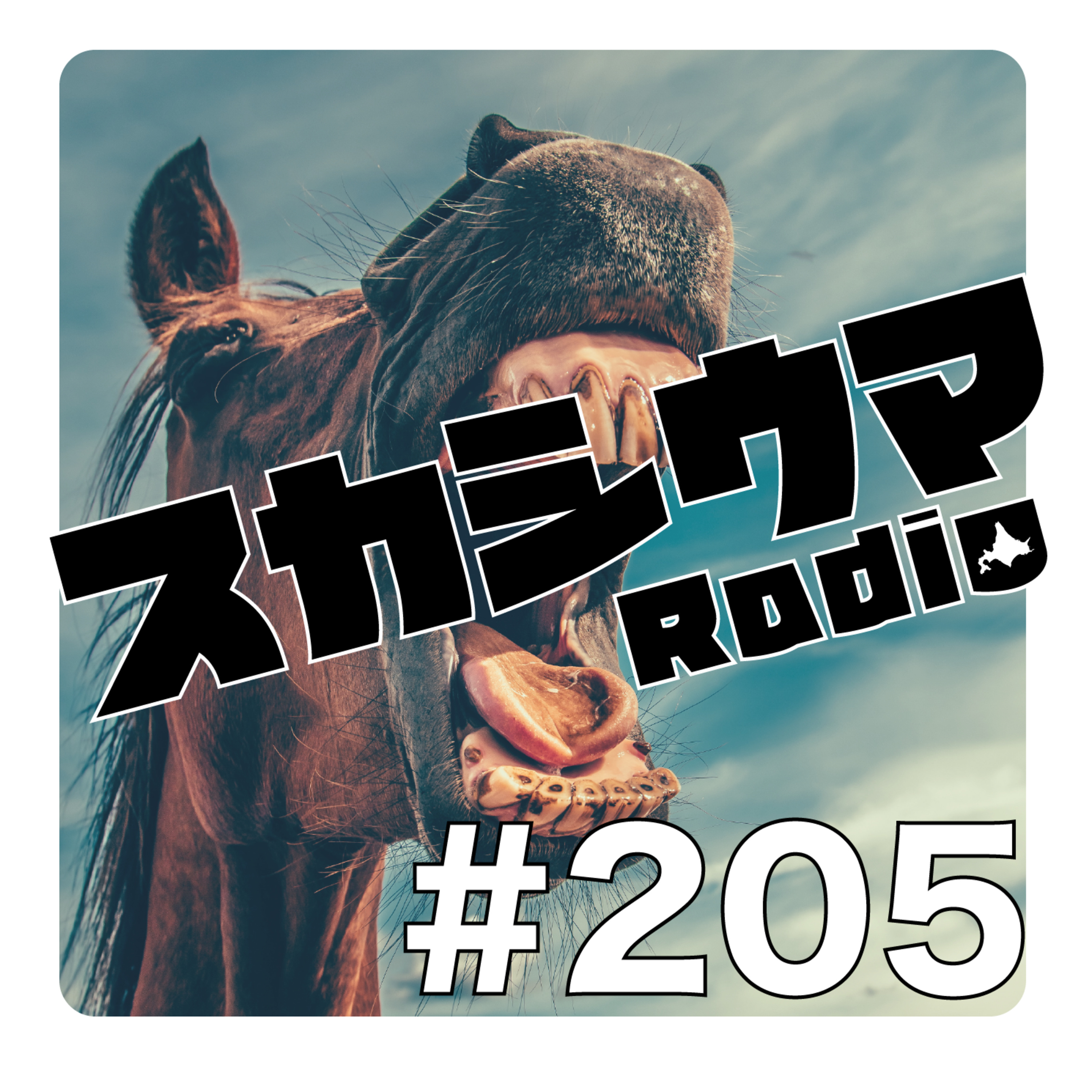 #205 スカらじ北海道旅行【後編】