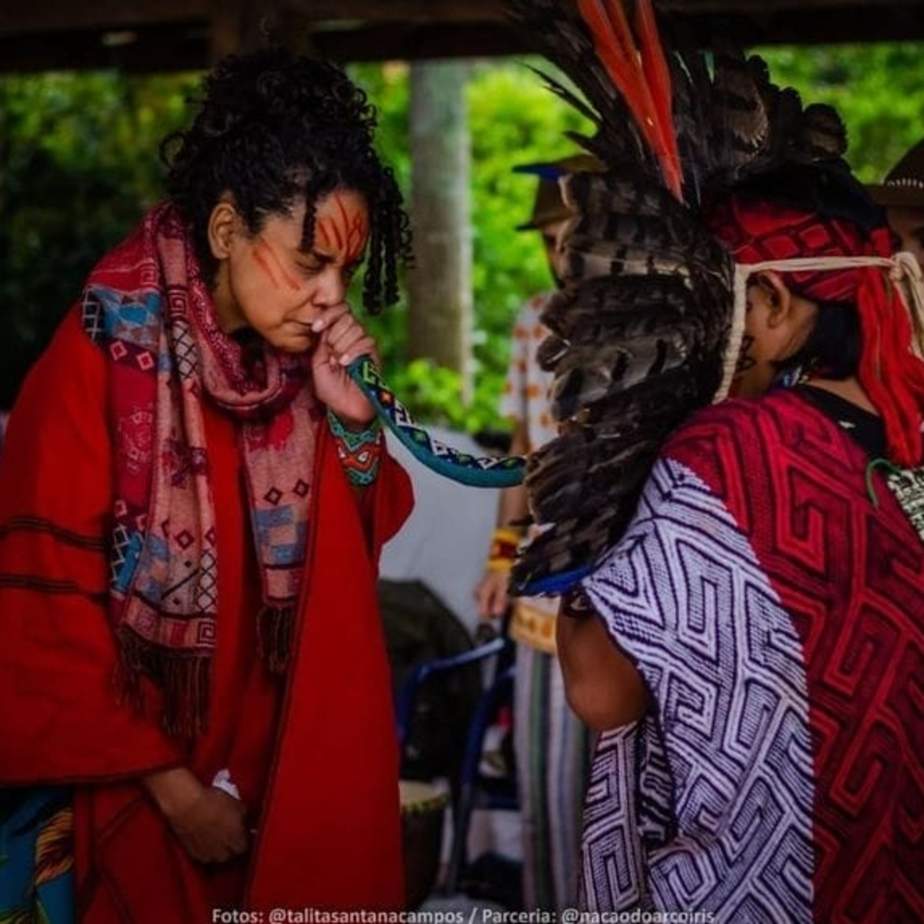 RELATO AYAHUASCA