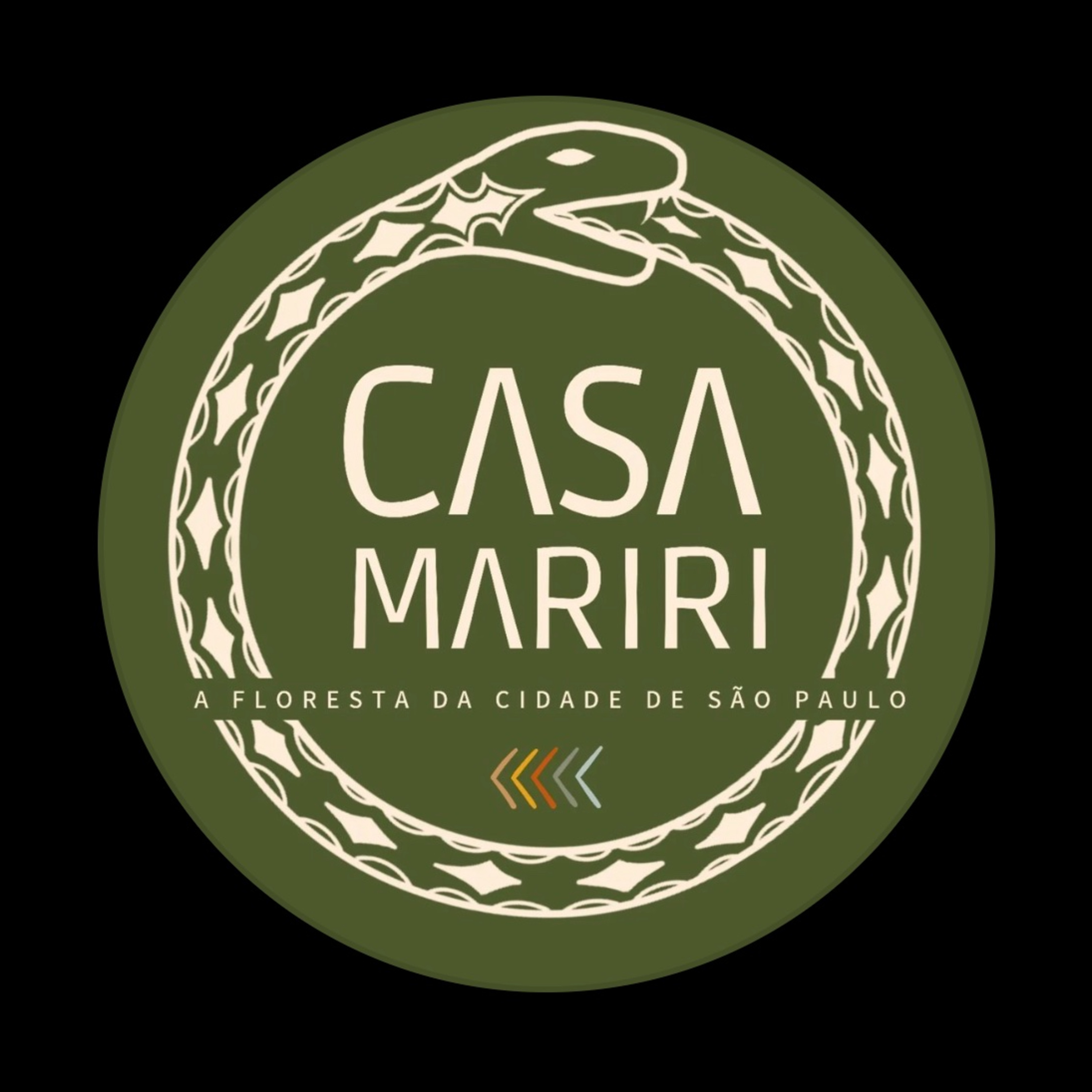 RELATO AYAHUASCA