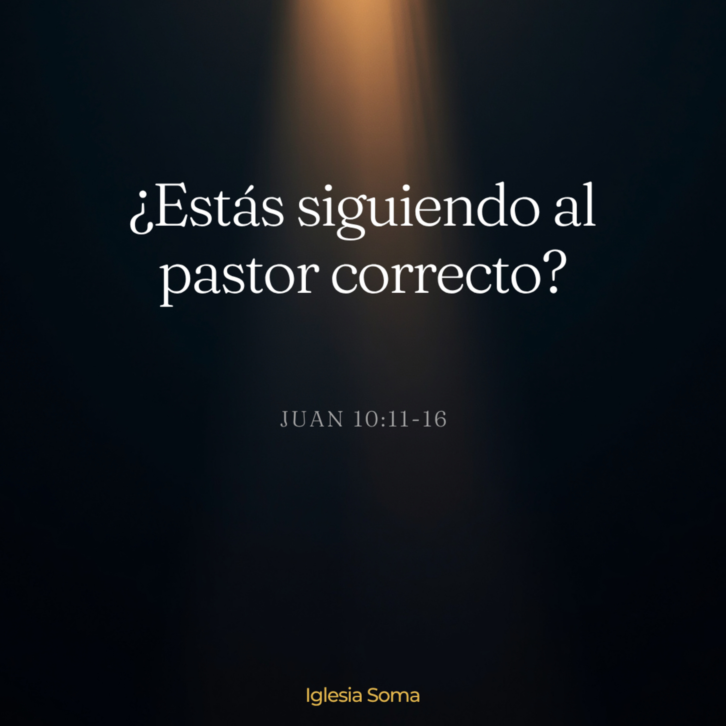 ¿Estás siguiendo al pastor correcto? Juan 10:11-16 episode artwork