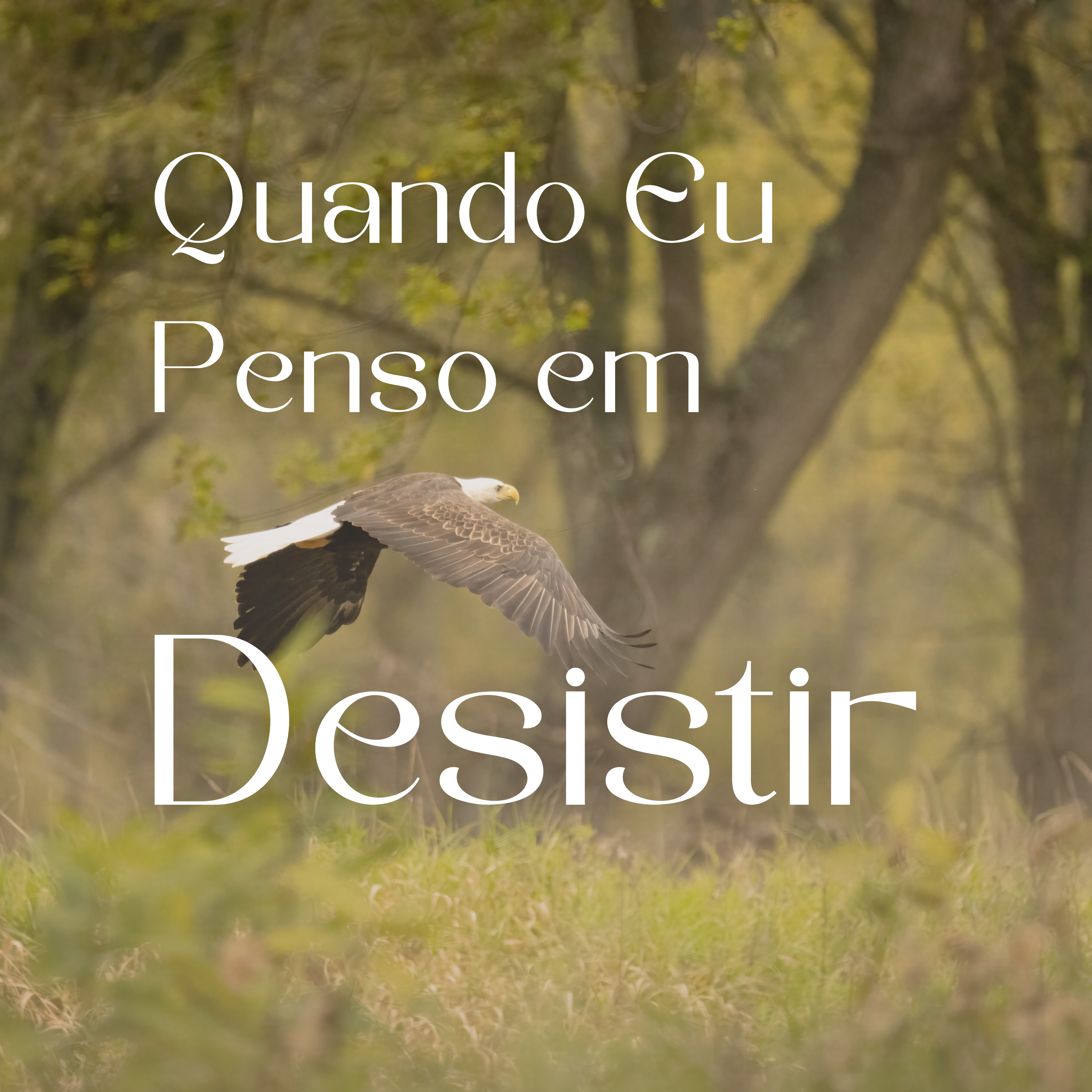 Quando Eu Penso em Desistir!  episode artwork