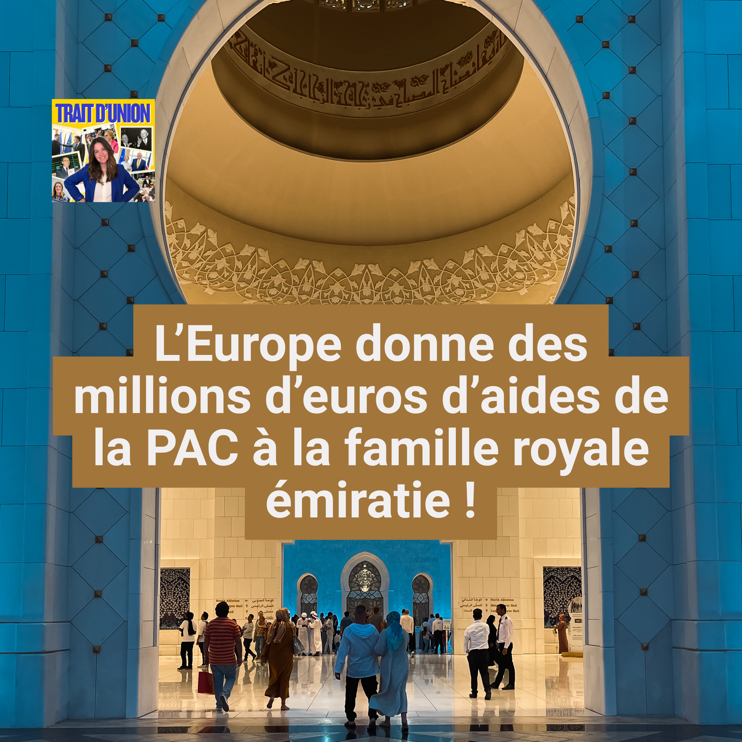 L’Europe donne des millions d’euros d’aides de la PAC à la famille royale émiratie ! episode artwork