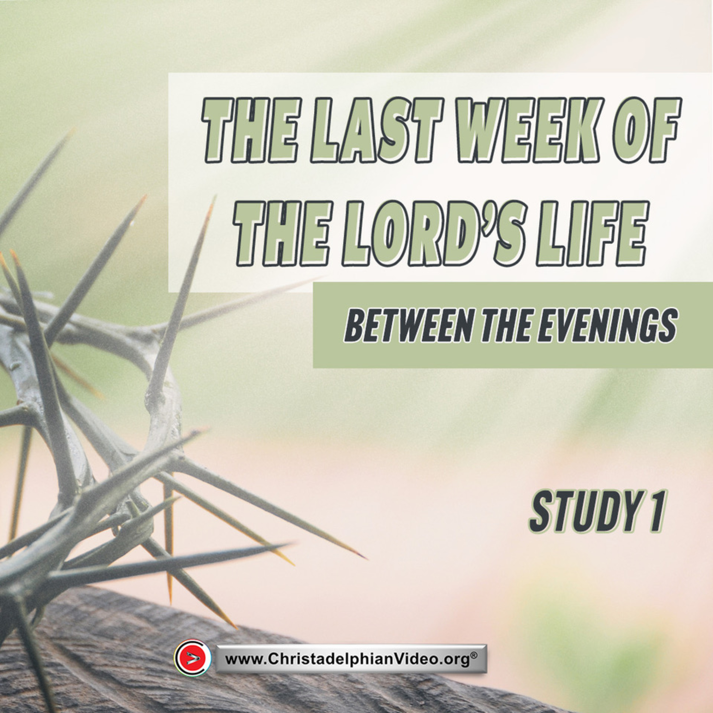 The Last Week of the Lord's Life #1 'Between the Evenings'