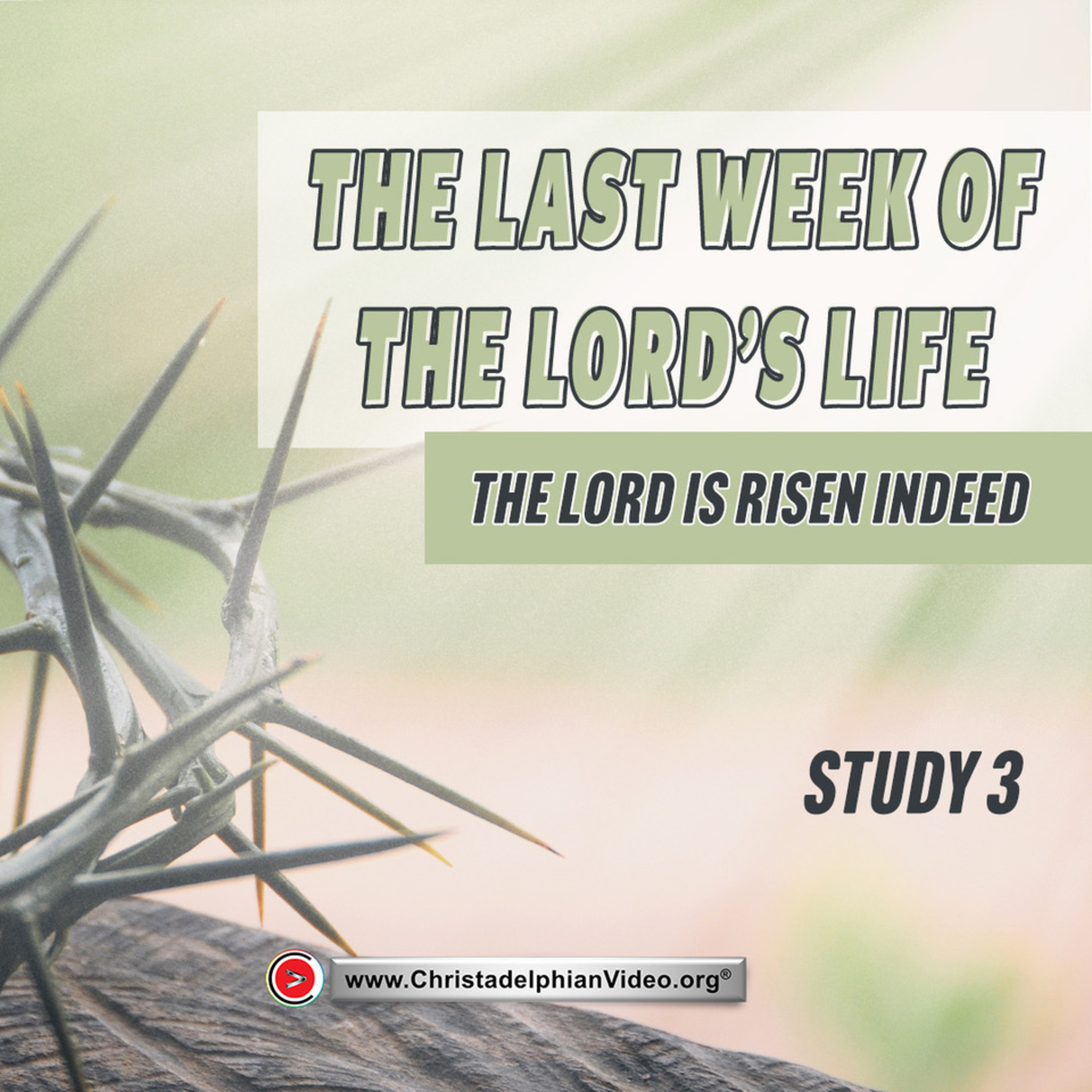 The Last Week of the Lord's Life #3 'The Lord is Risen Indeed'
