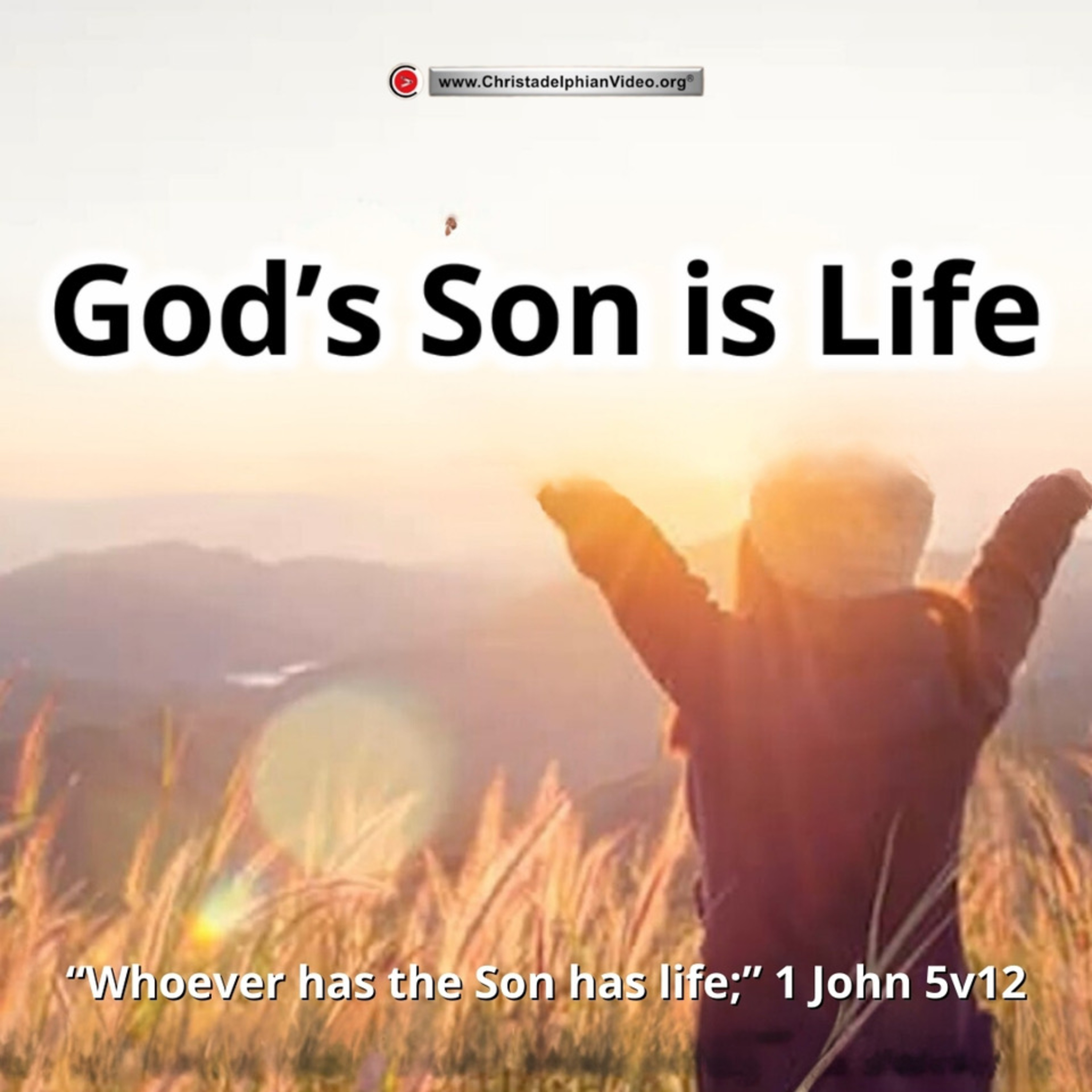 1 John #5 'God's Son is Love'