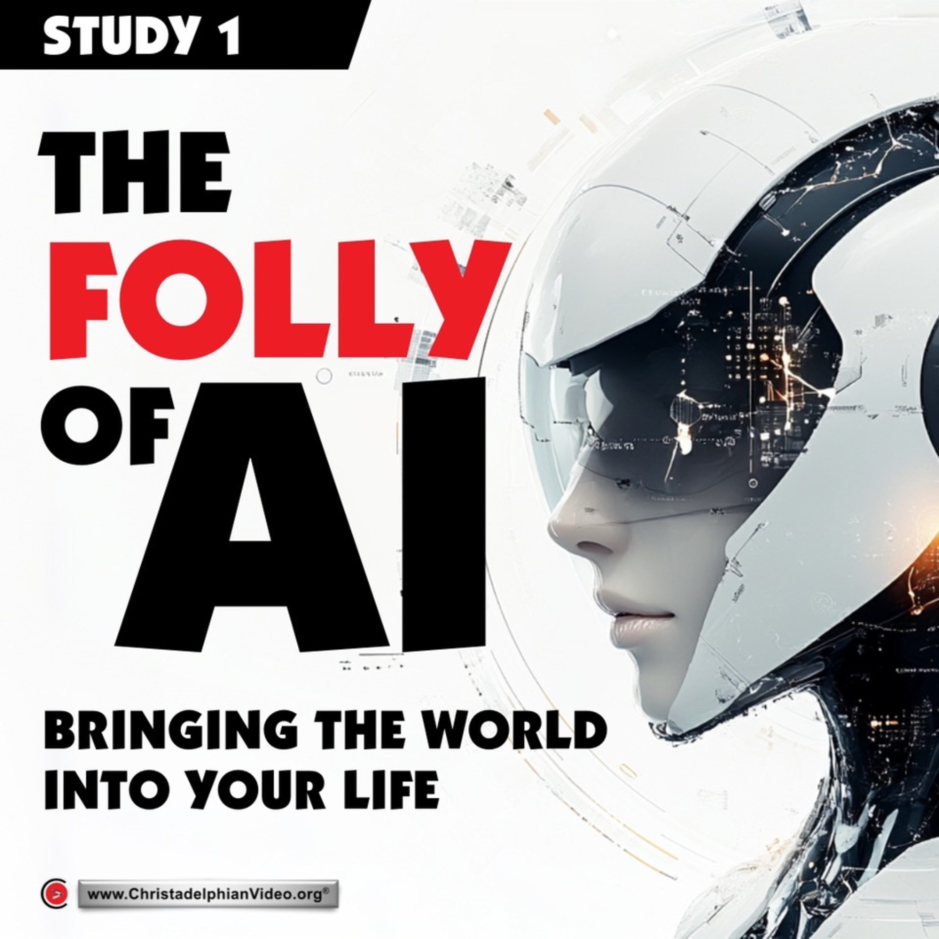 The Folly of Artificial Intelligence #1 'Ai and Bringing the World into your Life.'