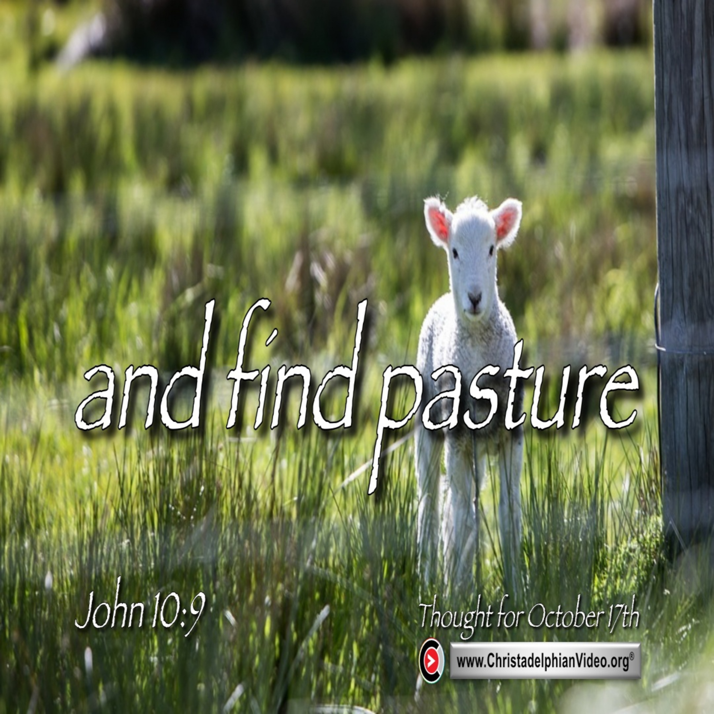 Thought for October 17th. “… AND FIND PASTURE”