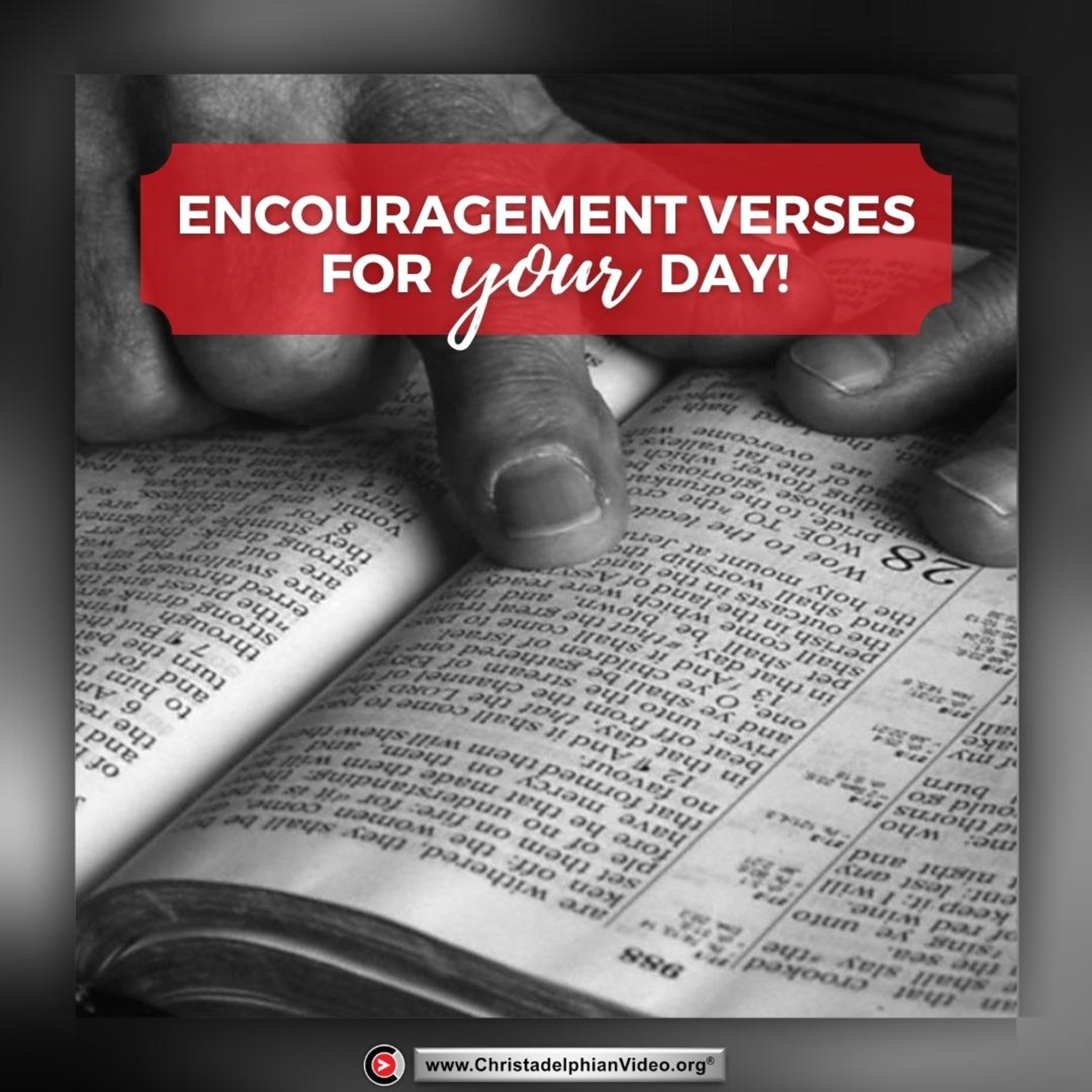The Bible Standard - Discover the Truth. (By Christadelphianvideo.org)