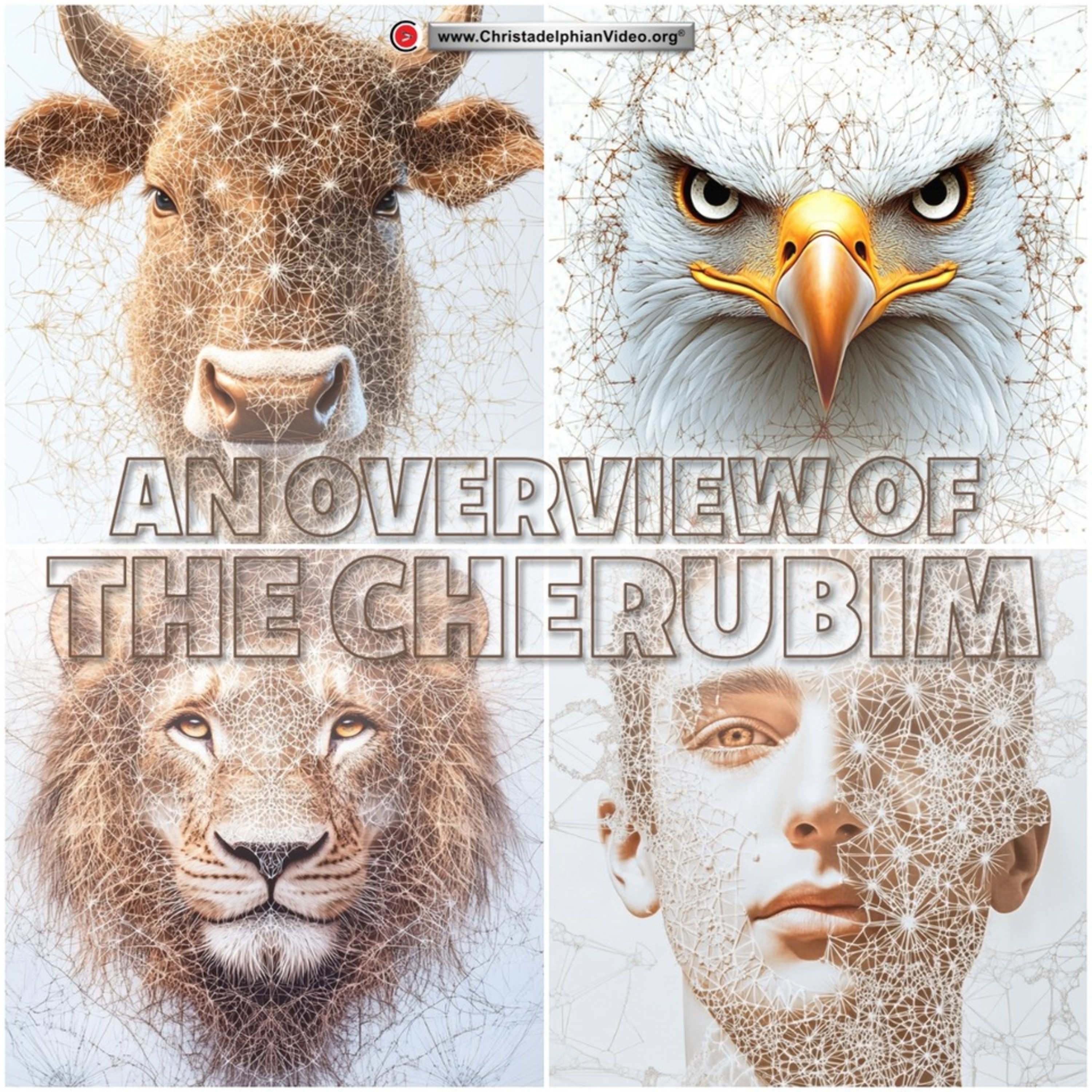 An overview of the Cherubim with Richard Snelling episode artwork