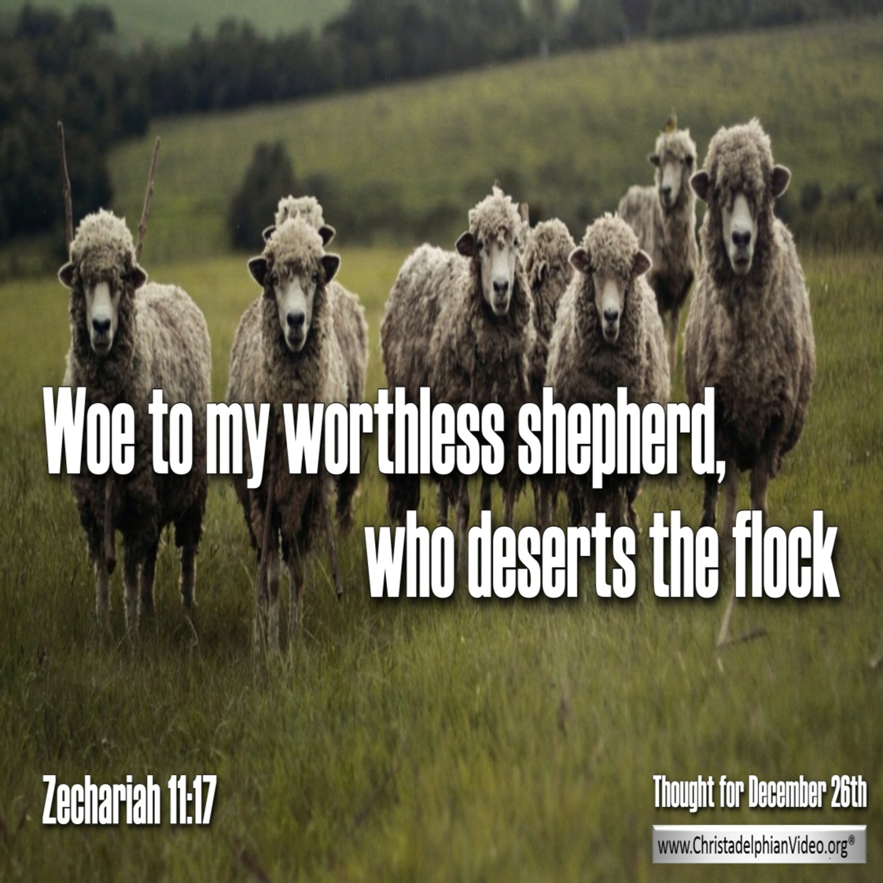 Thought for December 26th. “MY WORTHLESS SHEPHERD” episode artwork