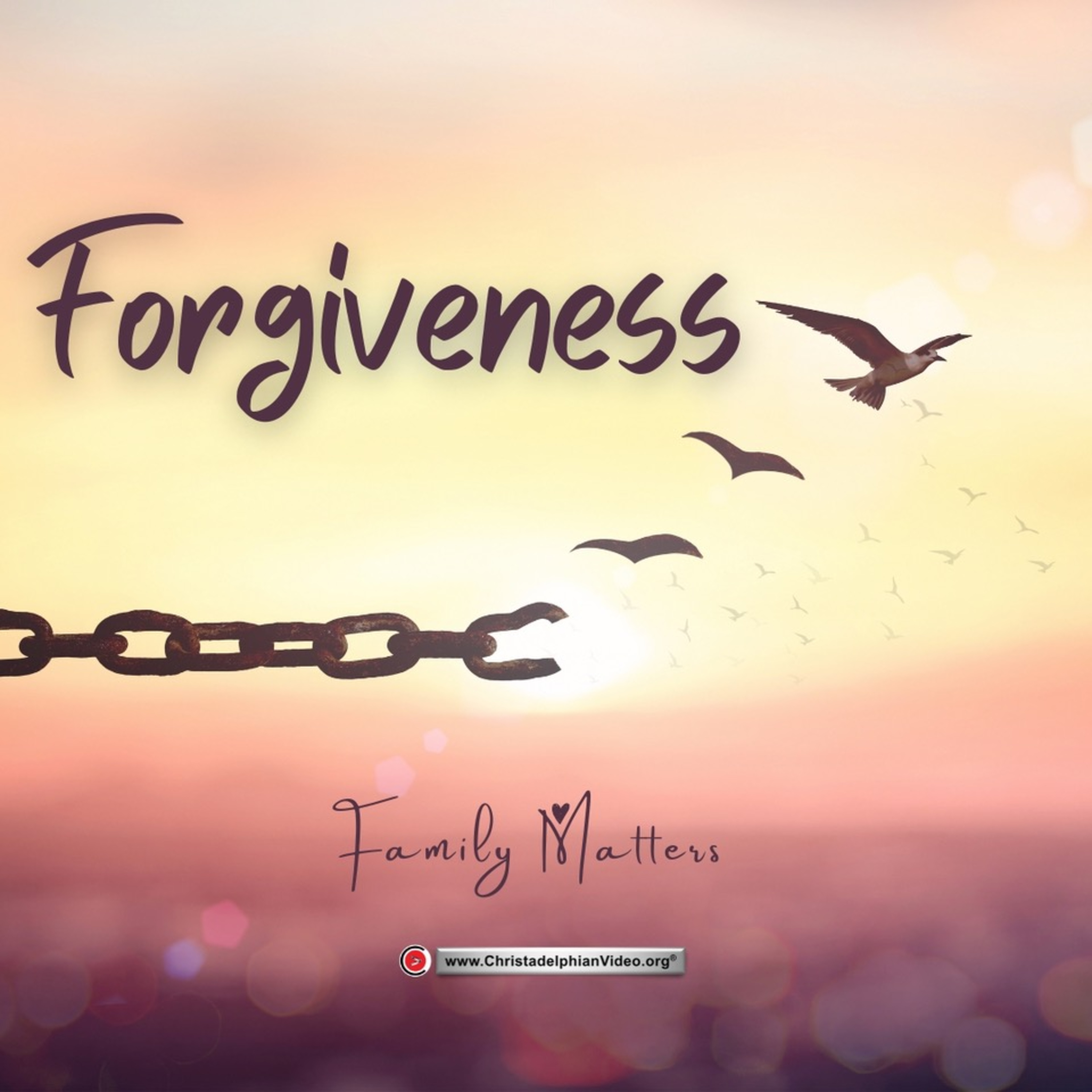 Family Matters #31 'Forgiveness' episode artwork