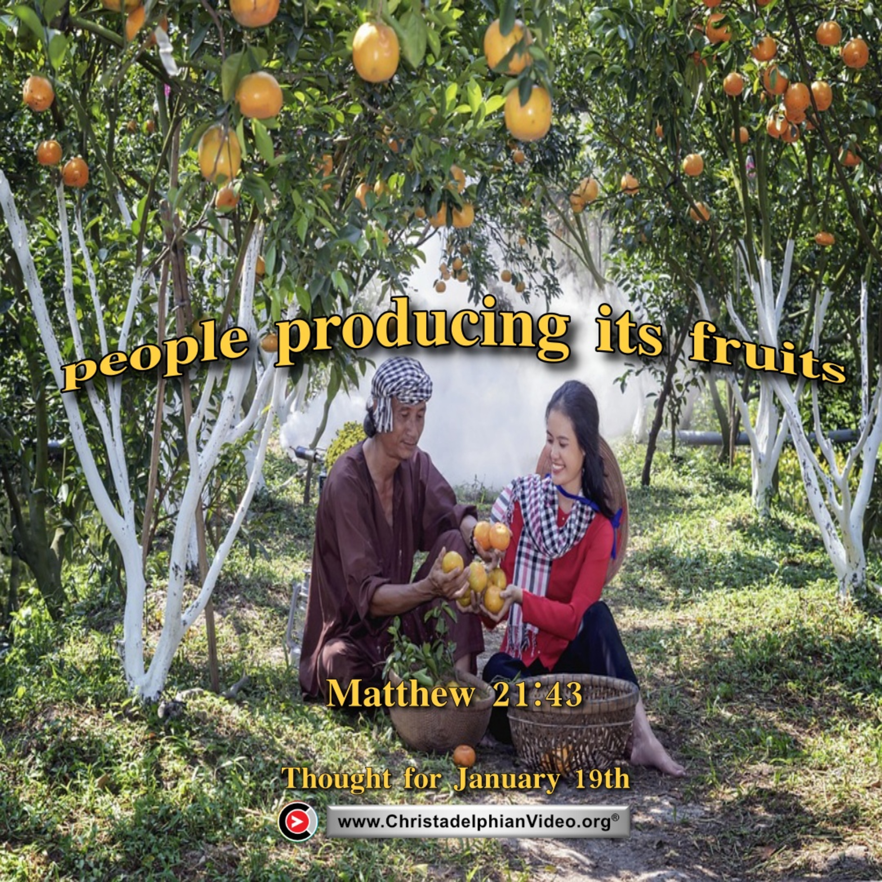 Thought for January 19th. “PEOPLE PRODUCING IT’S …” episode artwork