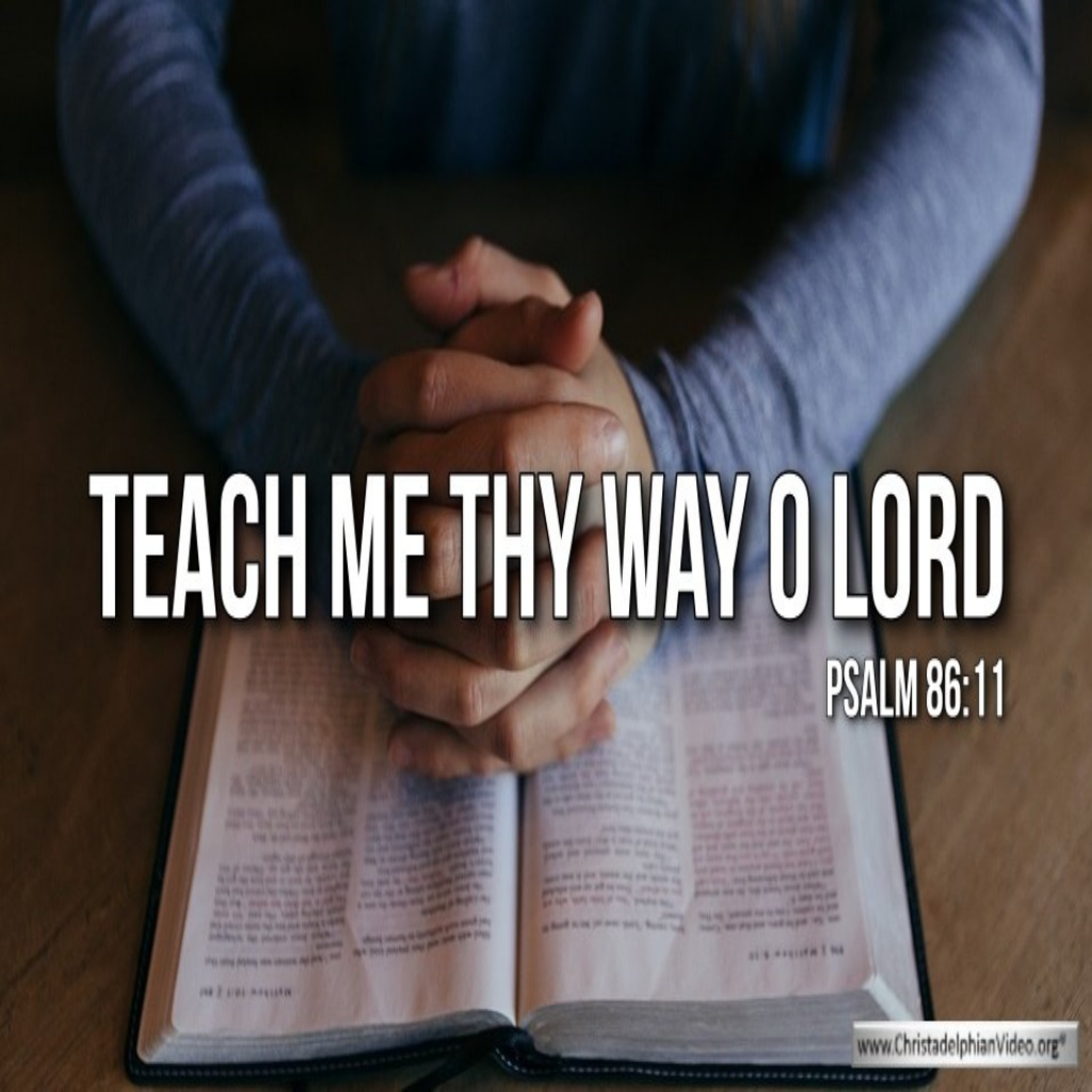 Thought for February 18th. “TEACH ME THY WAYS”