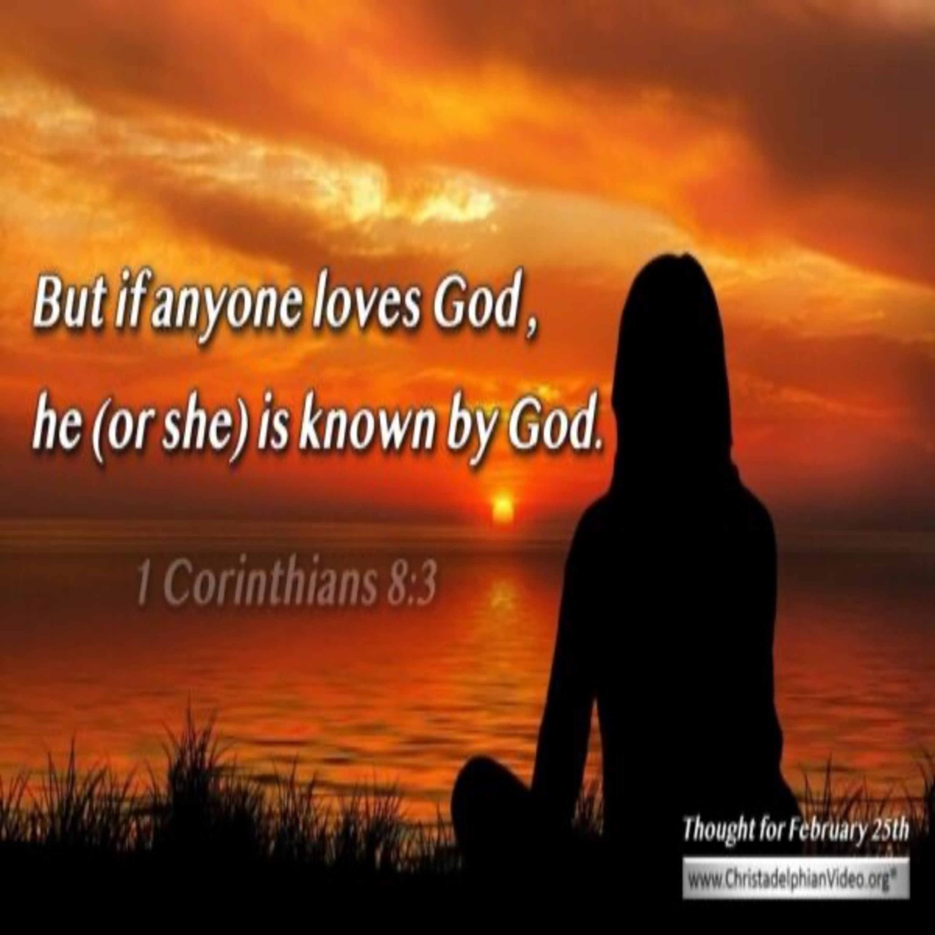 Thought for February 25th. “IF ANYONE LOVES GOD, HE IS KNOWN BY GOD” episode artwork